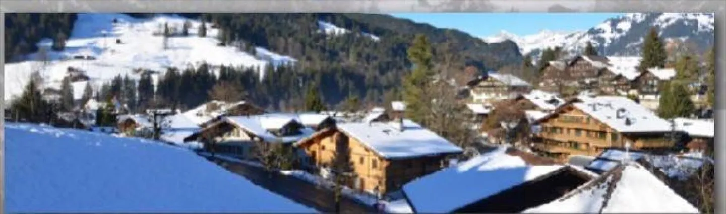 Appartamento 4 locali a Gstaad - Foto 3 di 5