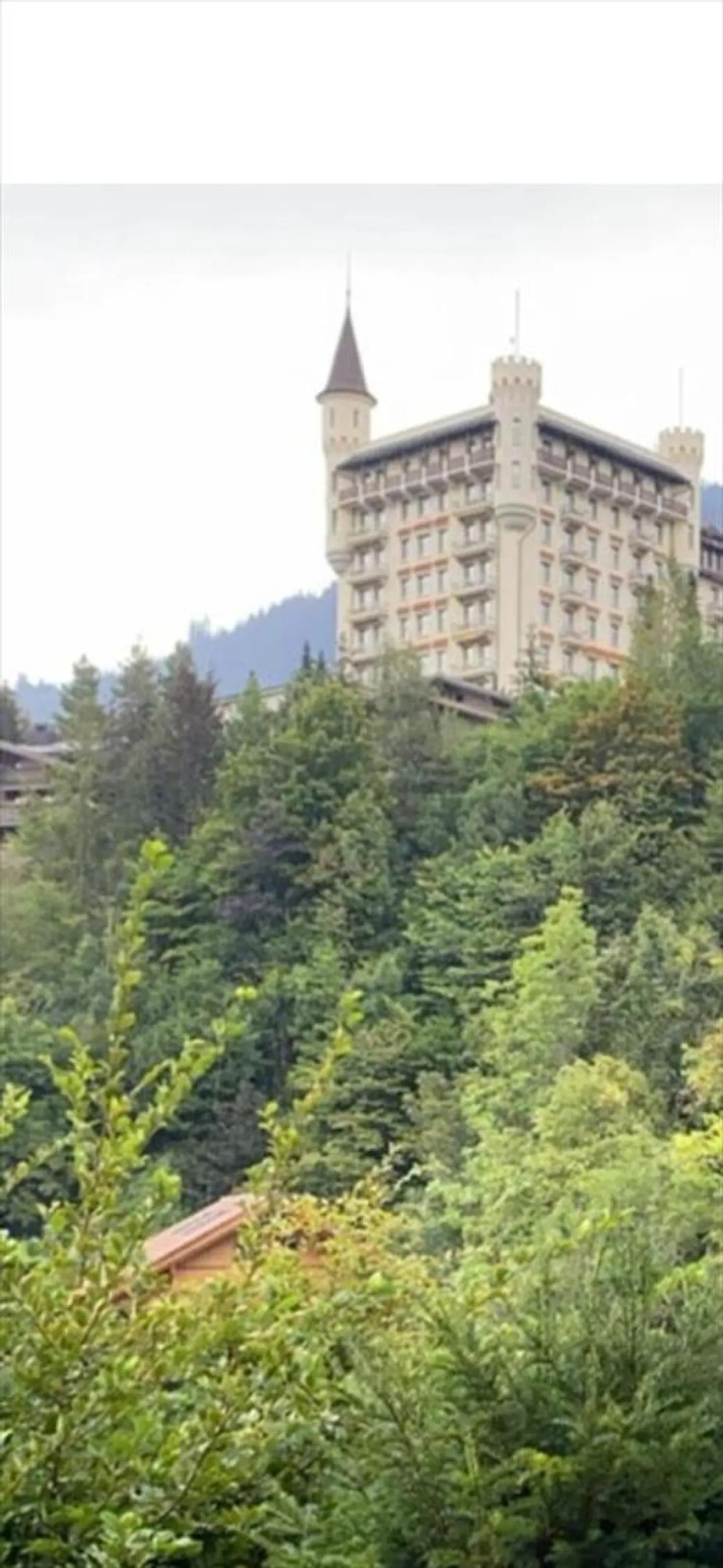 Appartamento 4 locali a Gstaad - Foto 5 di 5