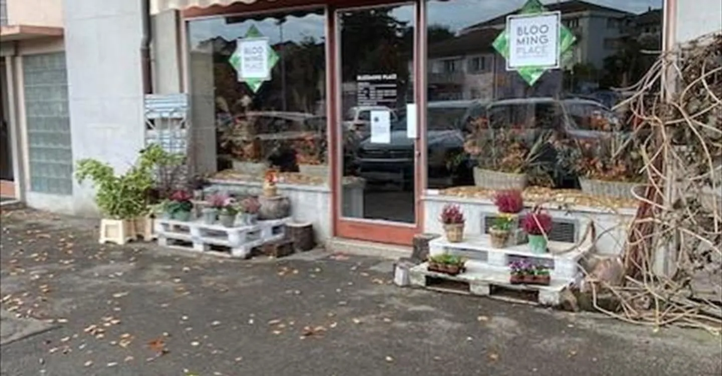 Immeuble mixte à louer - Photo 3 sur 3