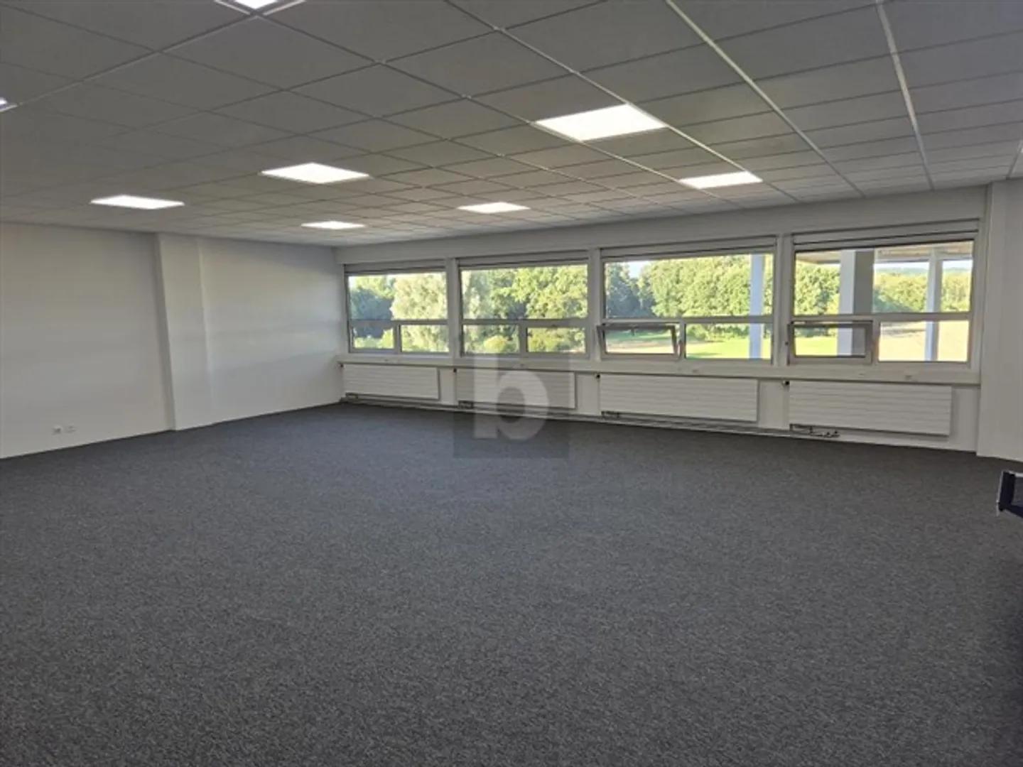 SPACIOUS AND ATTRACTIVE OFFICE - Photo 2 of 6