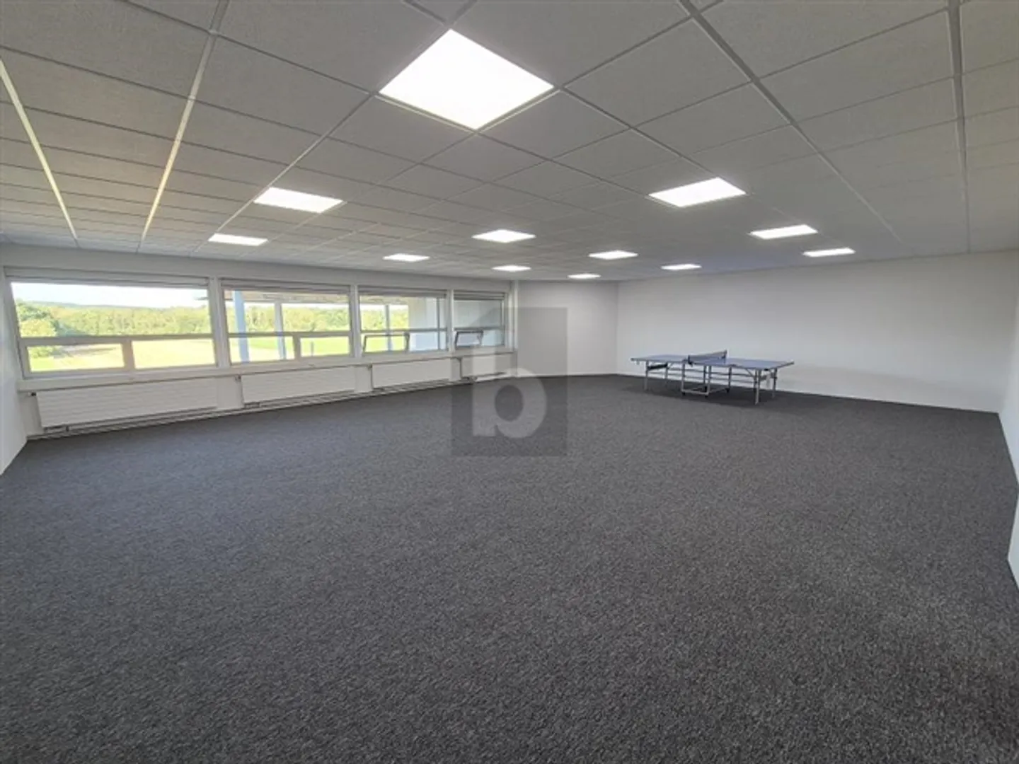 SPACIOUS AND ATTRACTIVE OFFICE - Photo 1 of 6