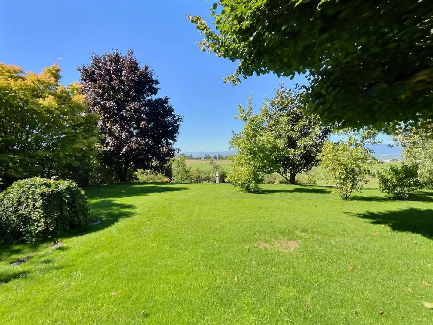 Mont-sur-Lausanne: Spacious 2.5-room apartment in a quiet villa! - Photo 1 of 10