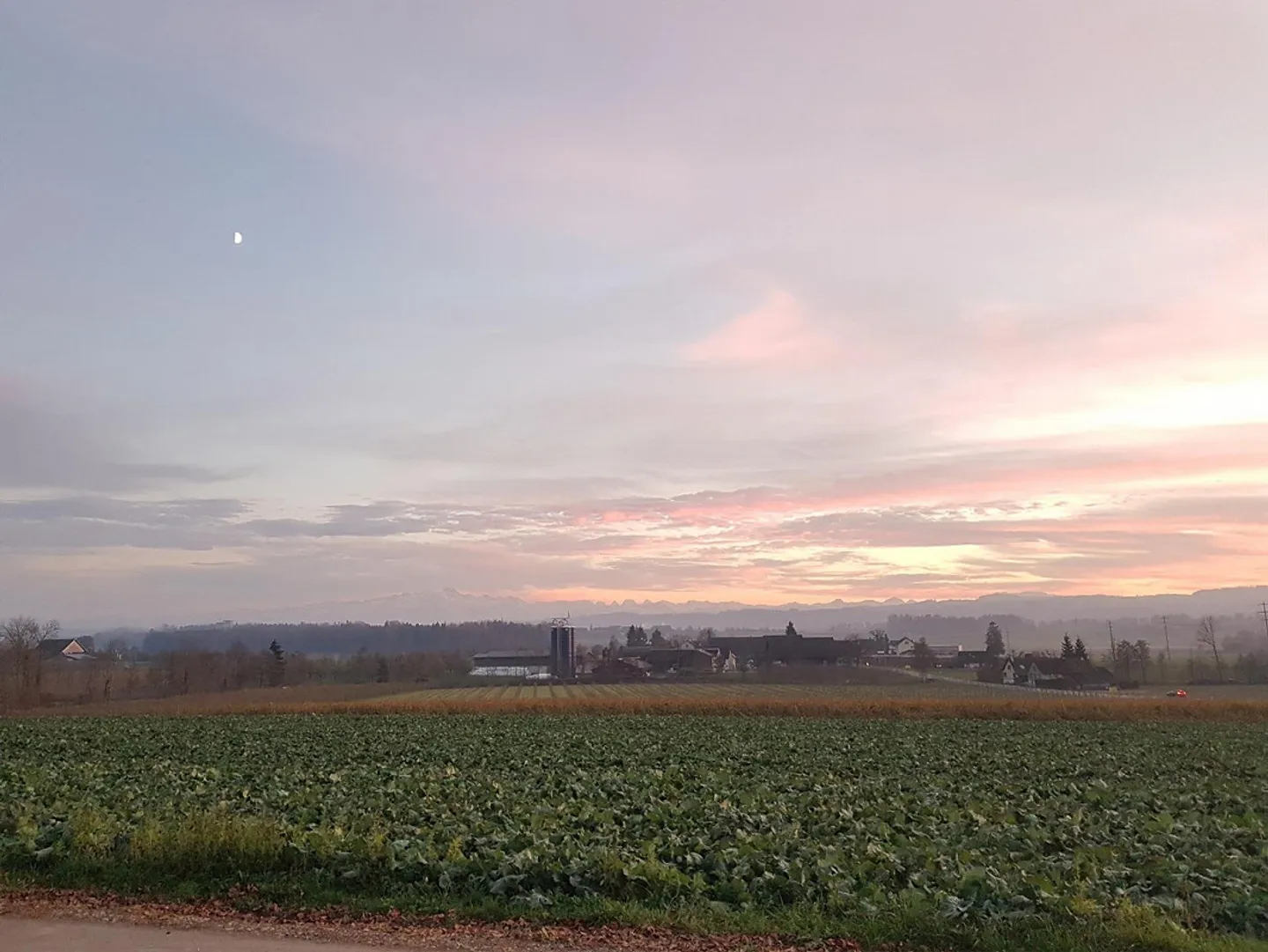 Piccola casa a schiera con molto fascino in affitto - Foto 7 di 7