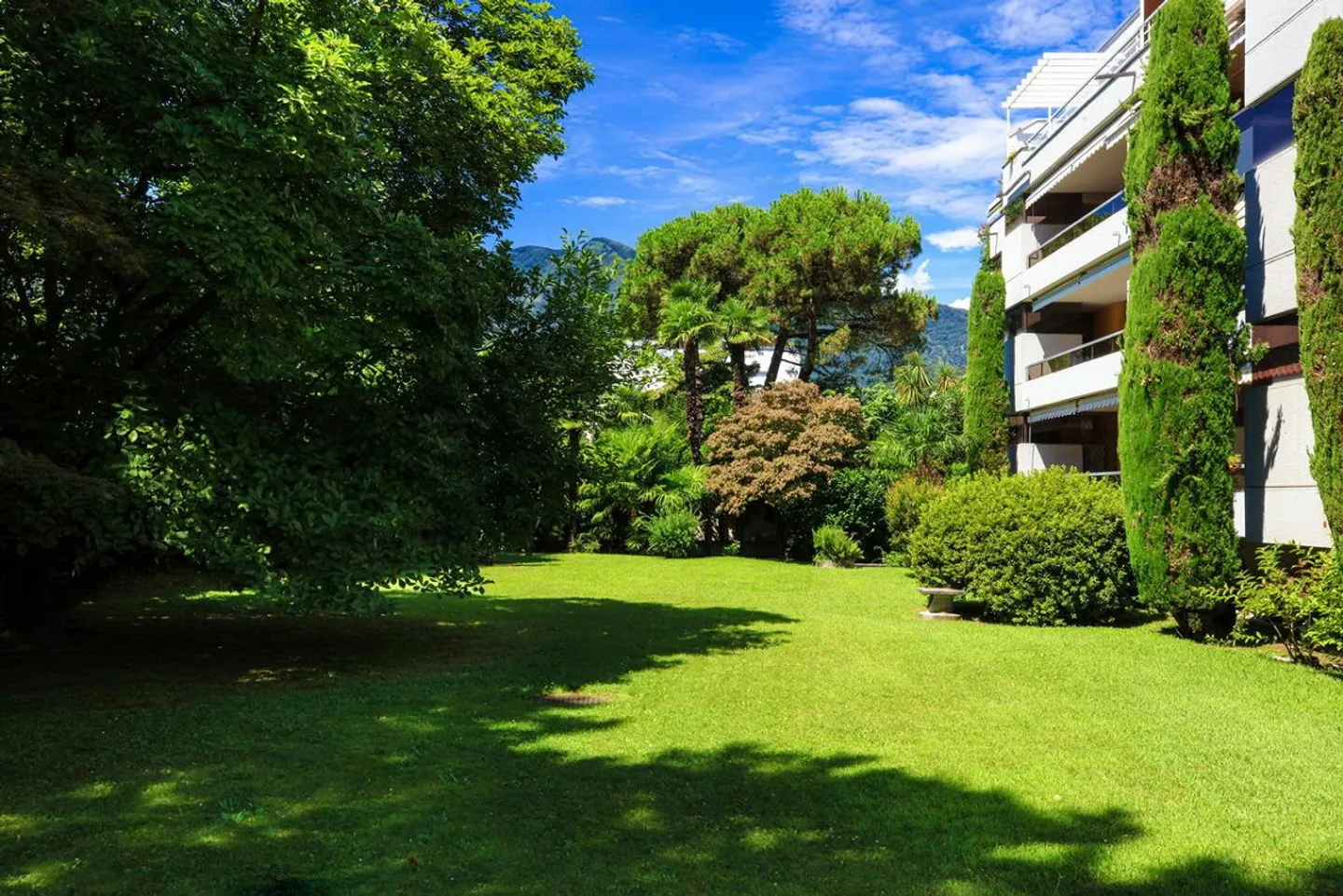 Sound of Silence | TI - Photo 2 of 10