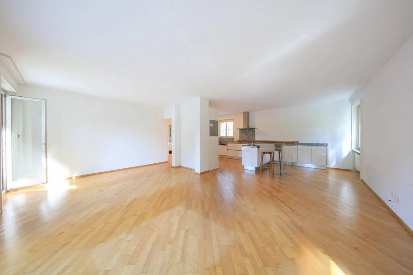 Sunflower - Photo 6 of 8