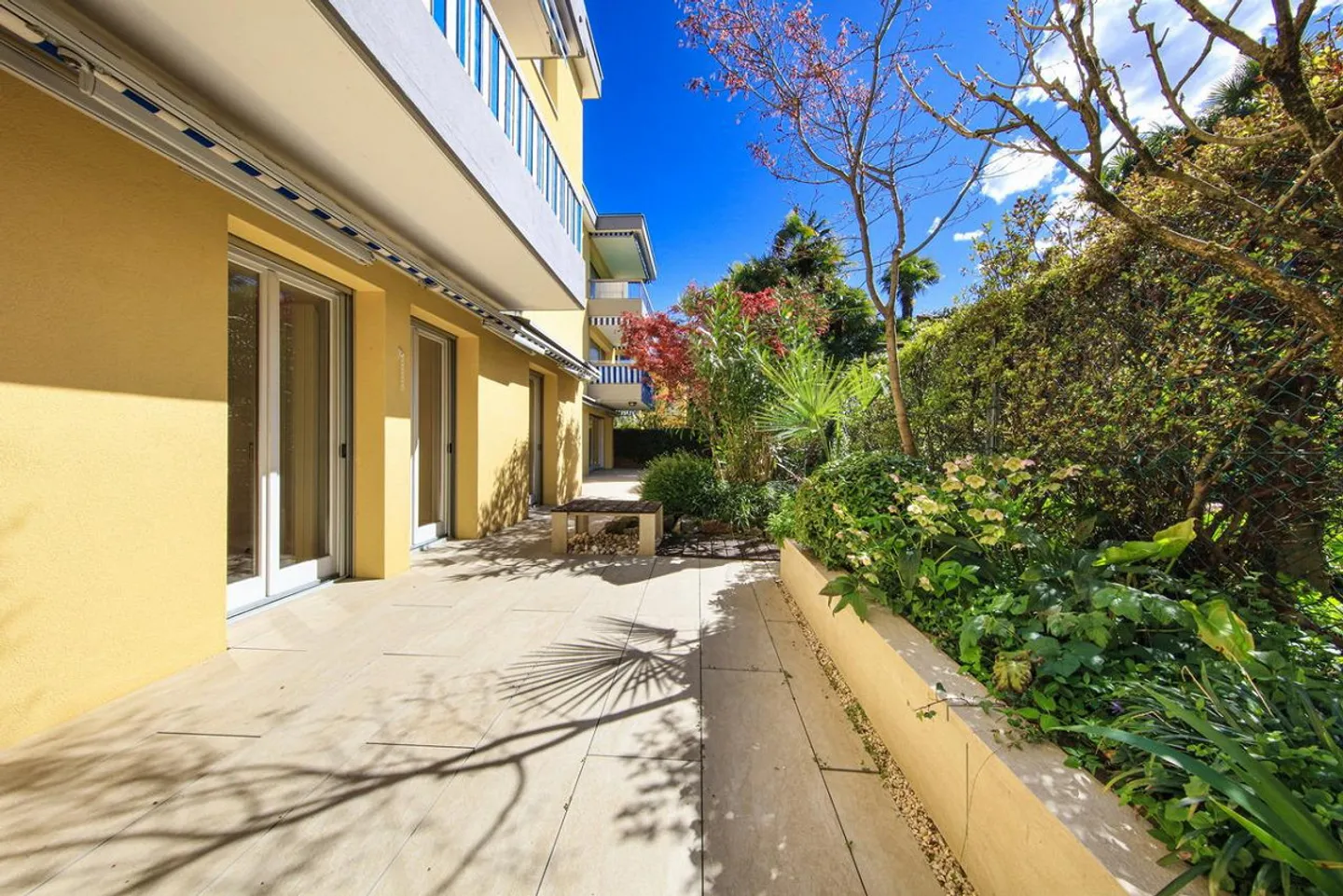 Sunflower - Photo 7 of 8