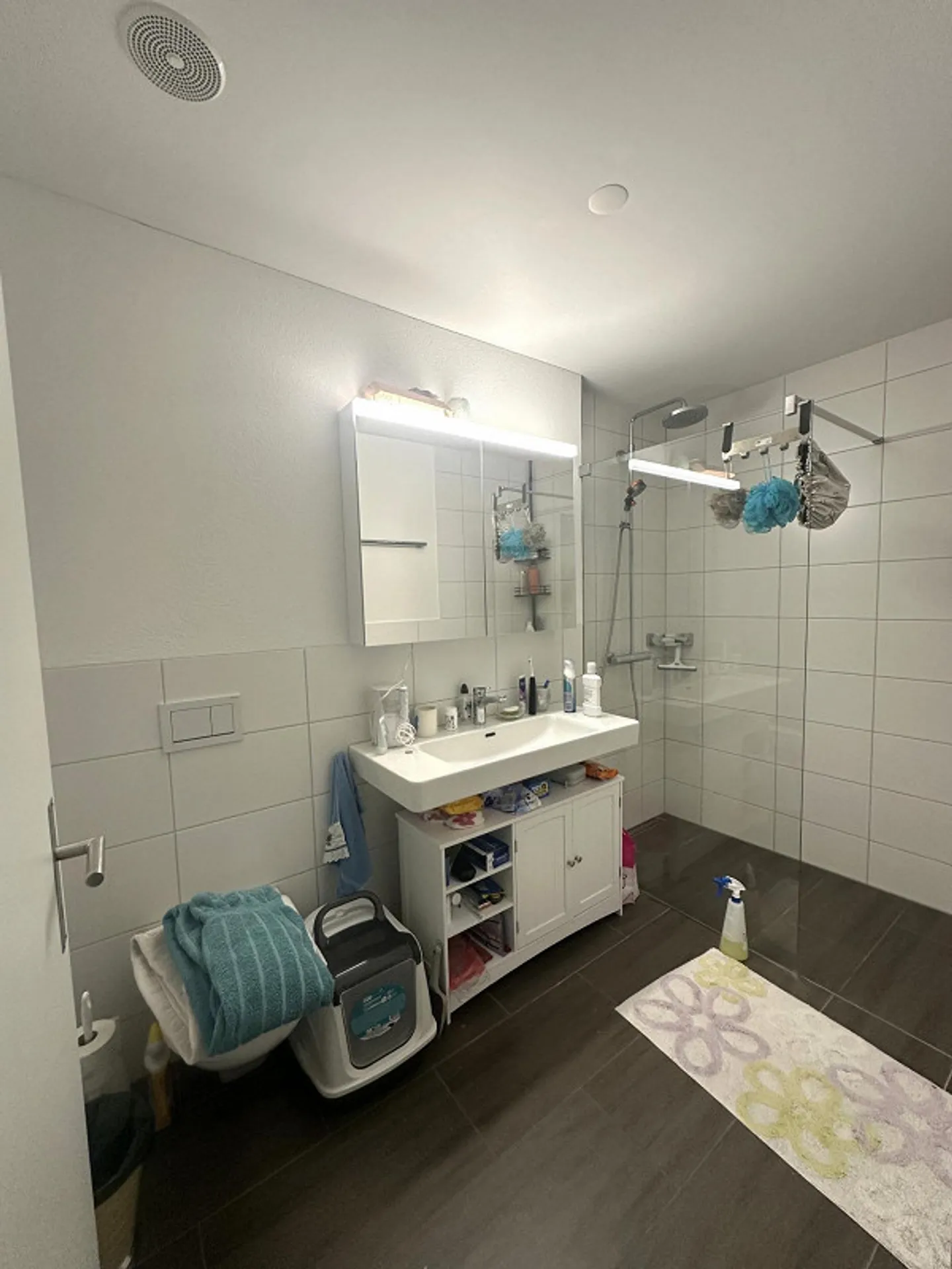 Bright 4.5-Room Attic Apartment - Photo 6 of 9