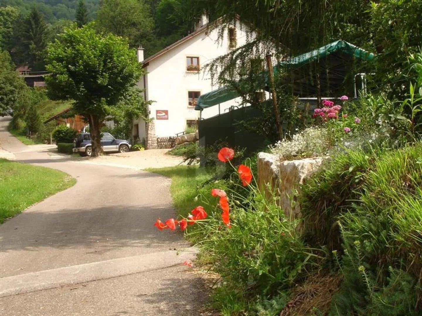 AMANTI DELLA NATURA - Foto 3 di 6