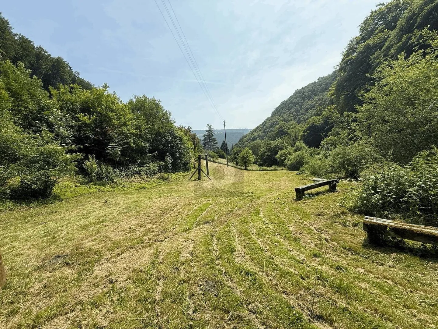 AMANTI DELLA NATURA - Foto 4 di 6