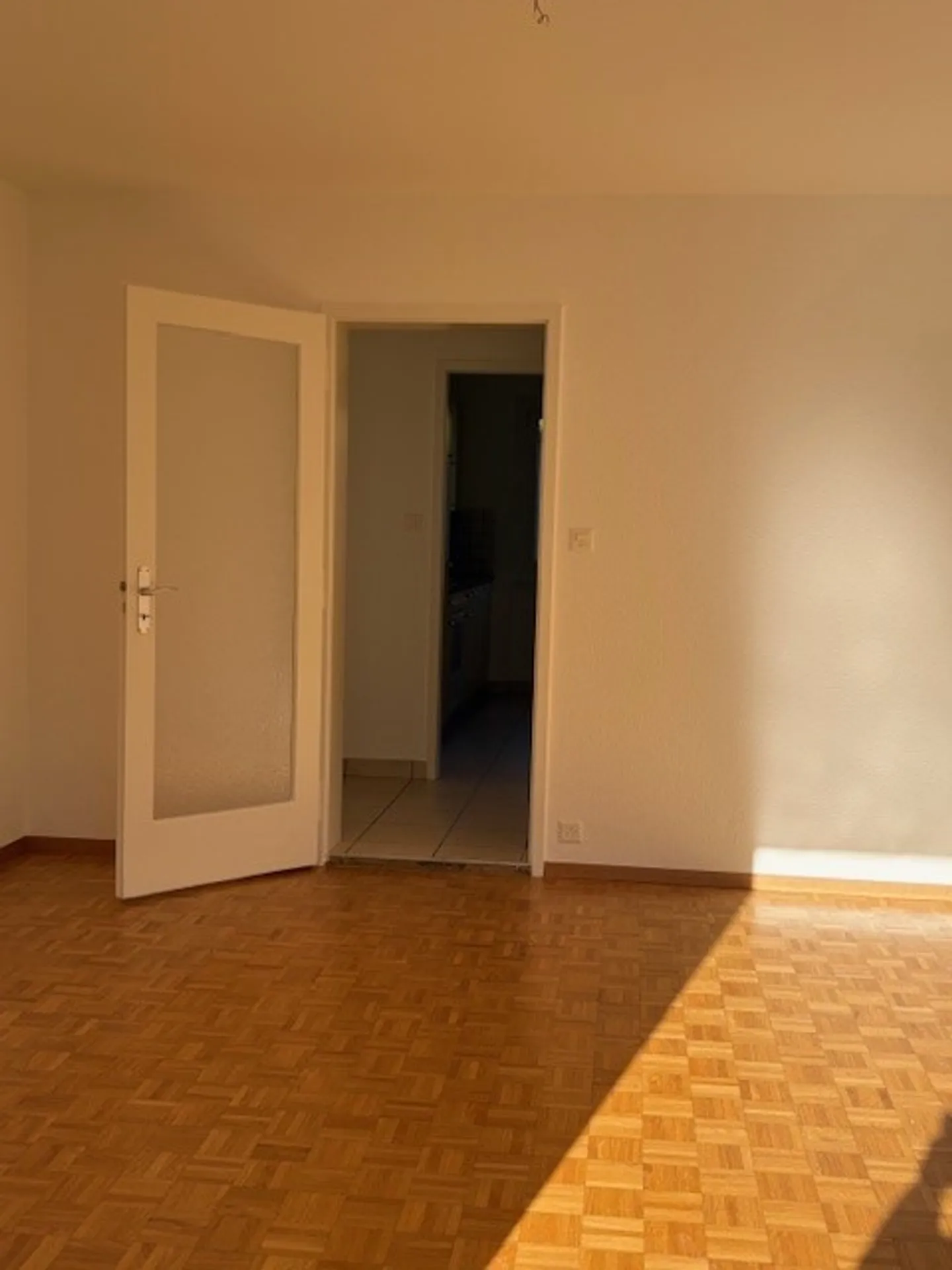 3.5 Room Apartment - Photo 3 of 10