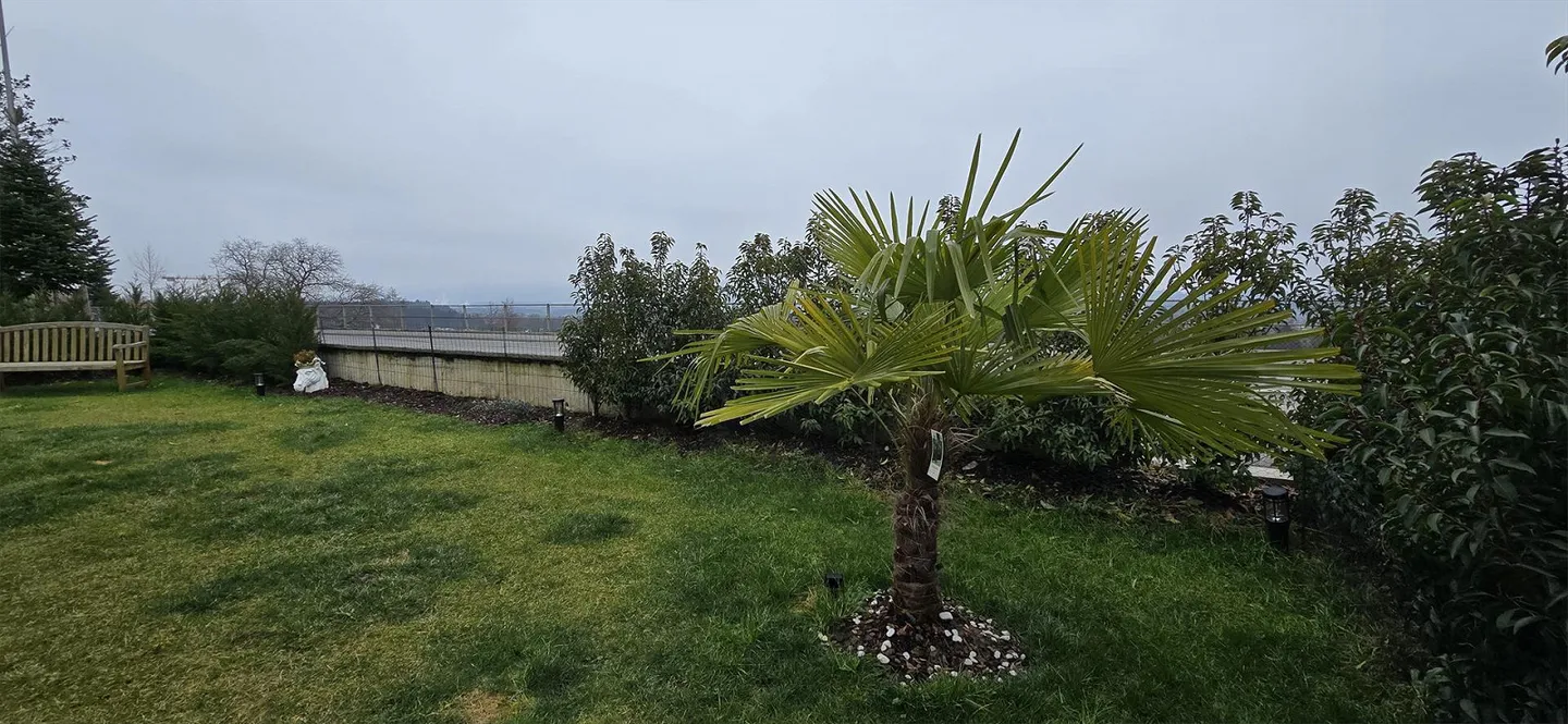 Casa bifamiliare di 5,5 stanze - Foto 6 di 19