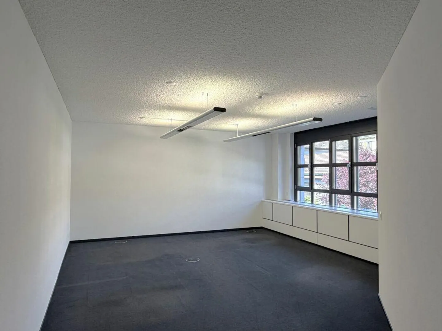 Modern commercial premises near the old town - Photo 4 of 4