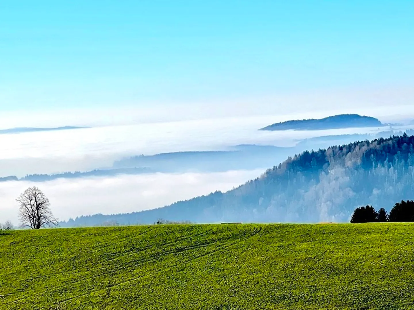 Casa singola in affitto - Foto 9 di 10