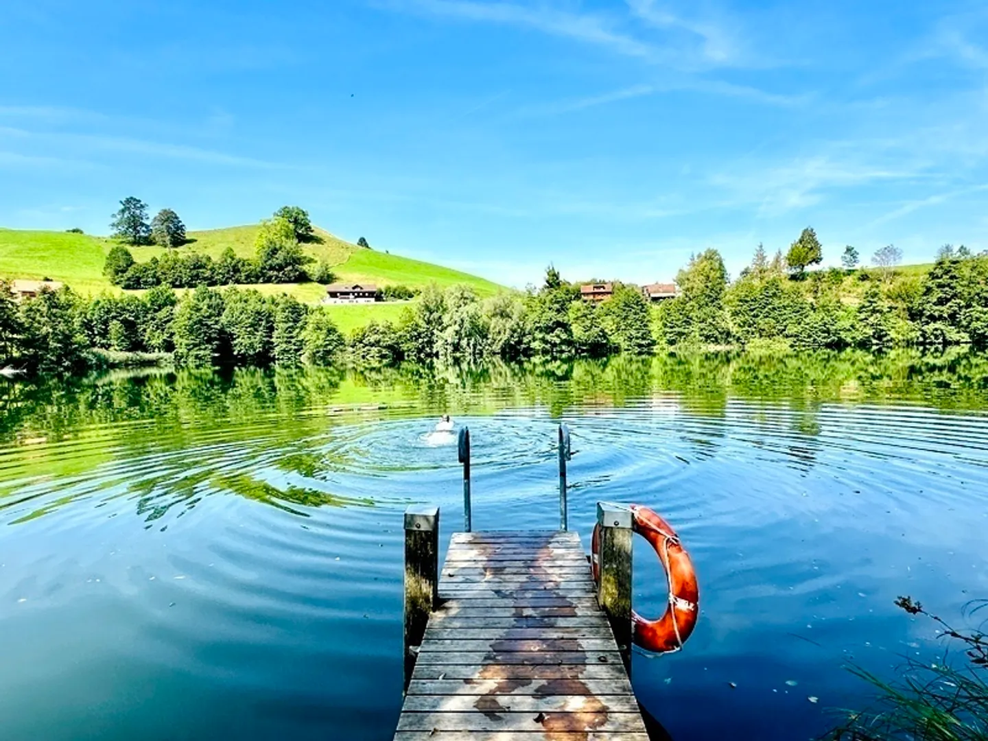 Casa singola in affitto - Foto 10 di 10
