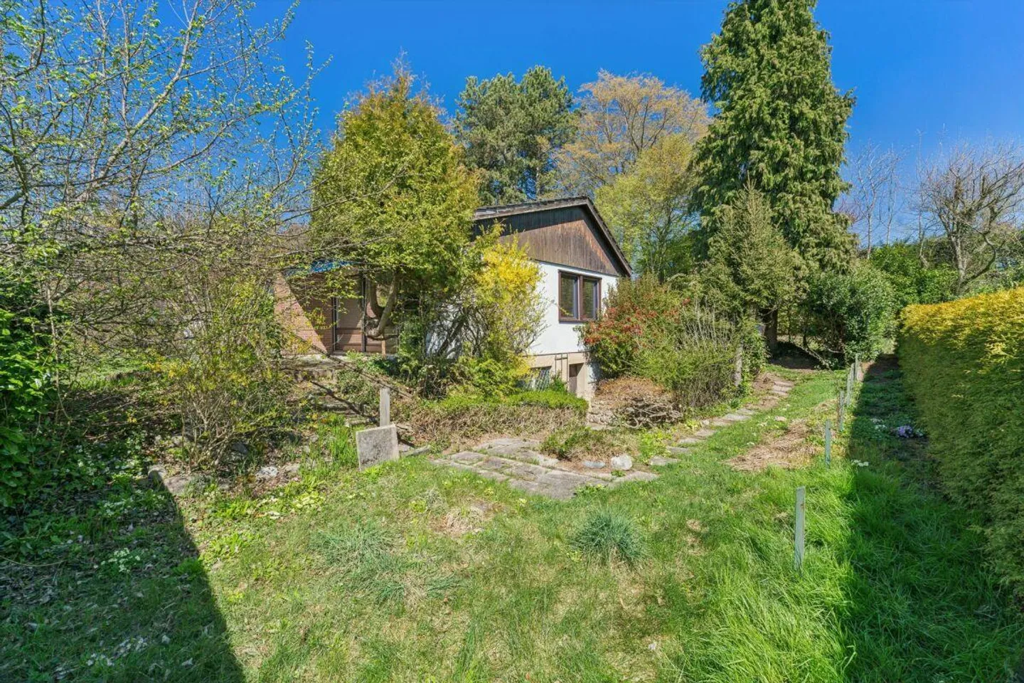 Grosszügiges Bauland in Grüt - Foto 8 von 10