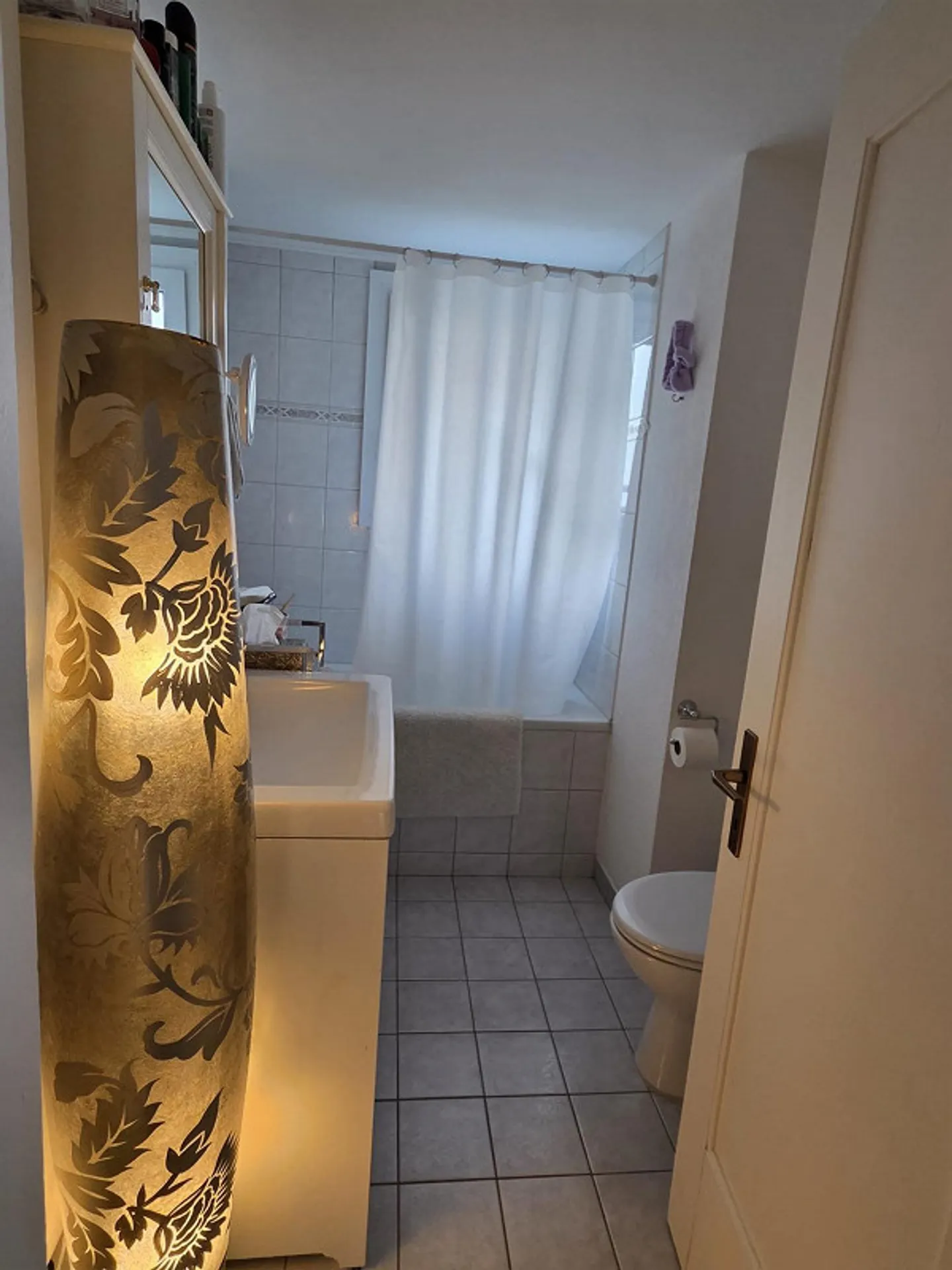 Appartement 3 1/2 récemment rénové à louer à partir du 1er mars 2026 - Photo 11 sur 12