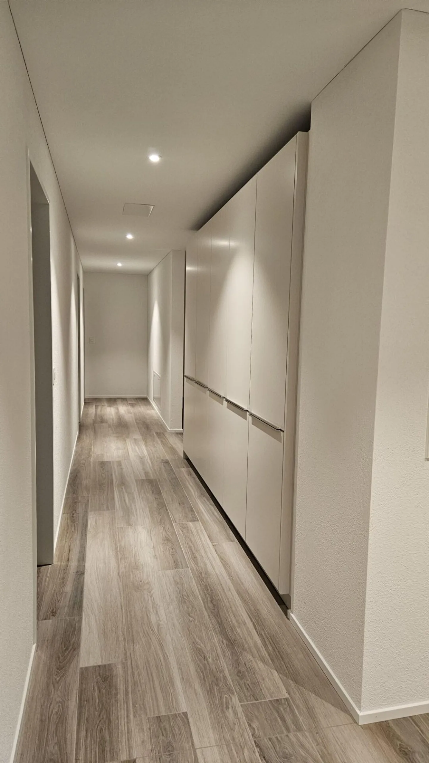 Vivre sur l'ancienne pente de vigne à Stäfa - Photo 4 sur 12