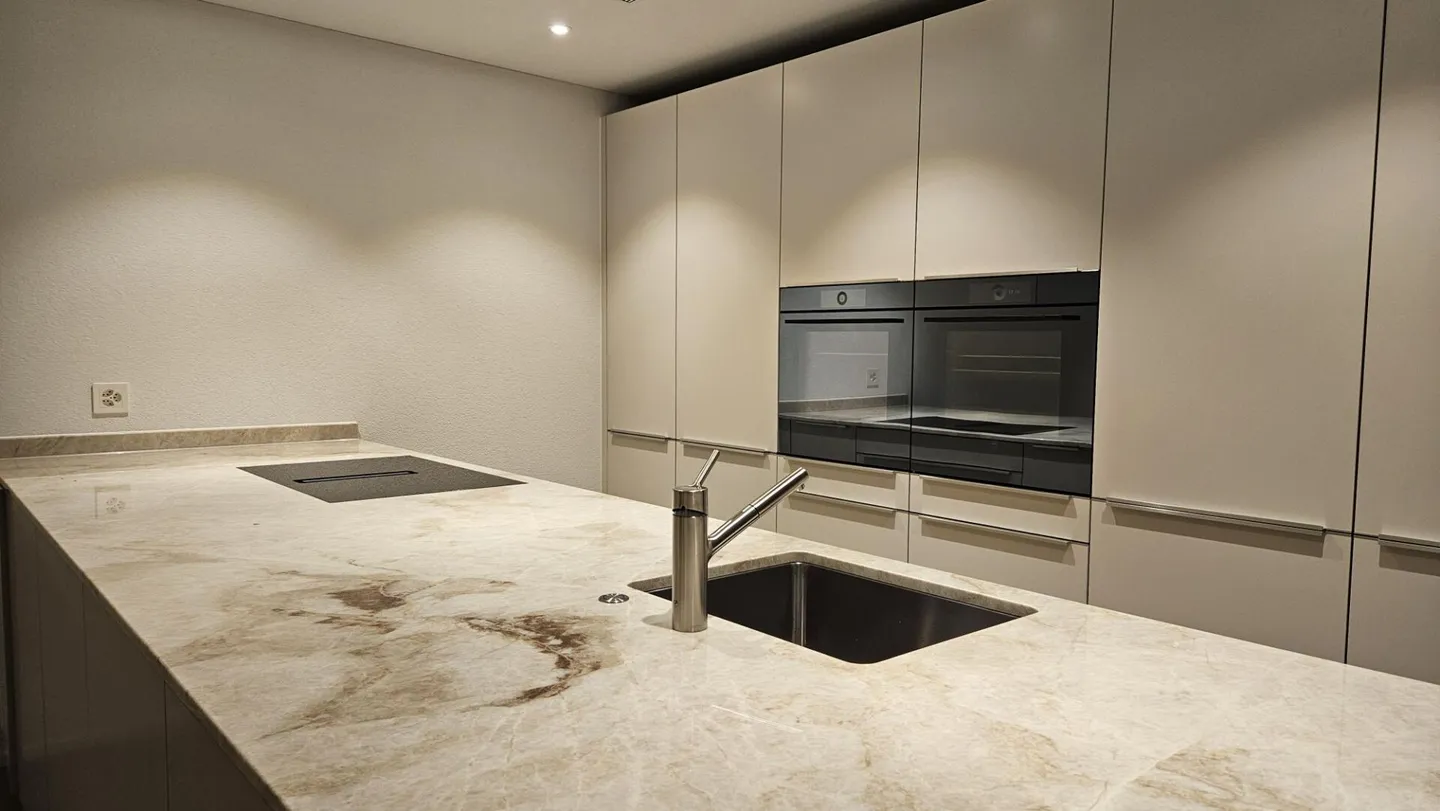 Vivre sur l'ancienne pente de vigne à Stäfa - Photo 5 sur 12