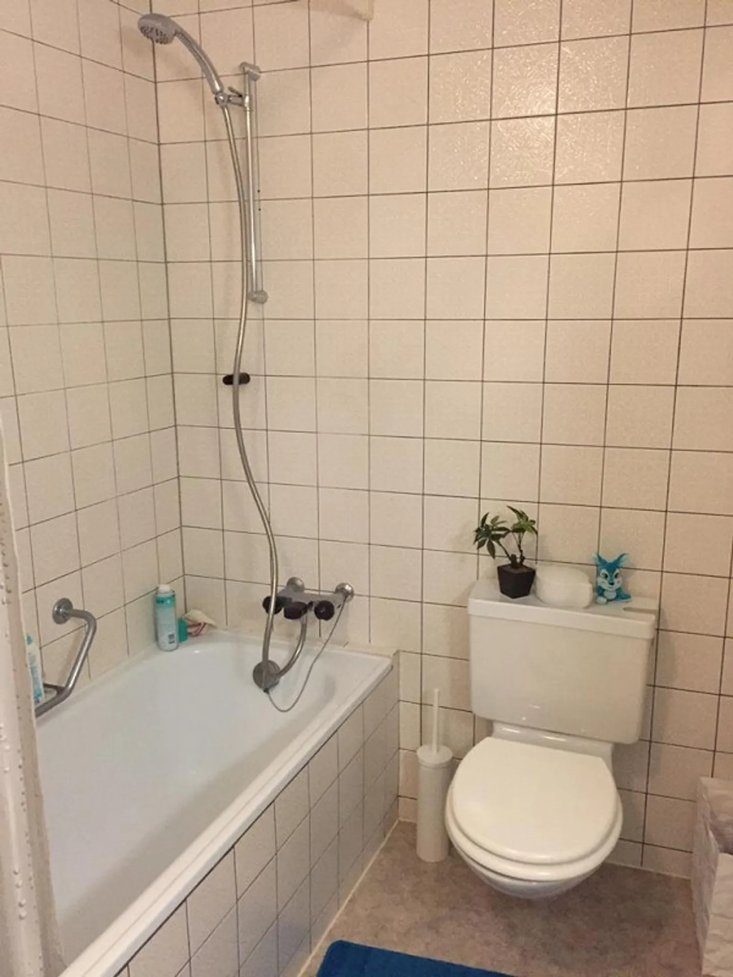 Charmante Wohnung in Aarau - Foto 3 von 4