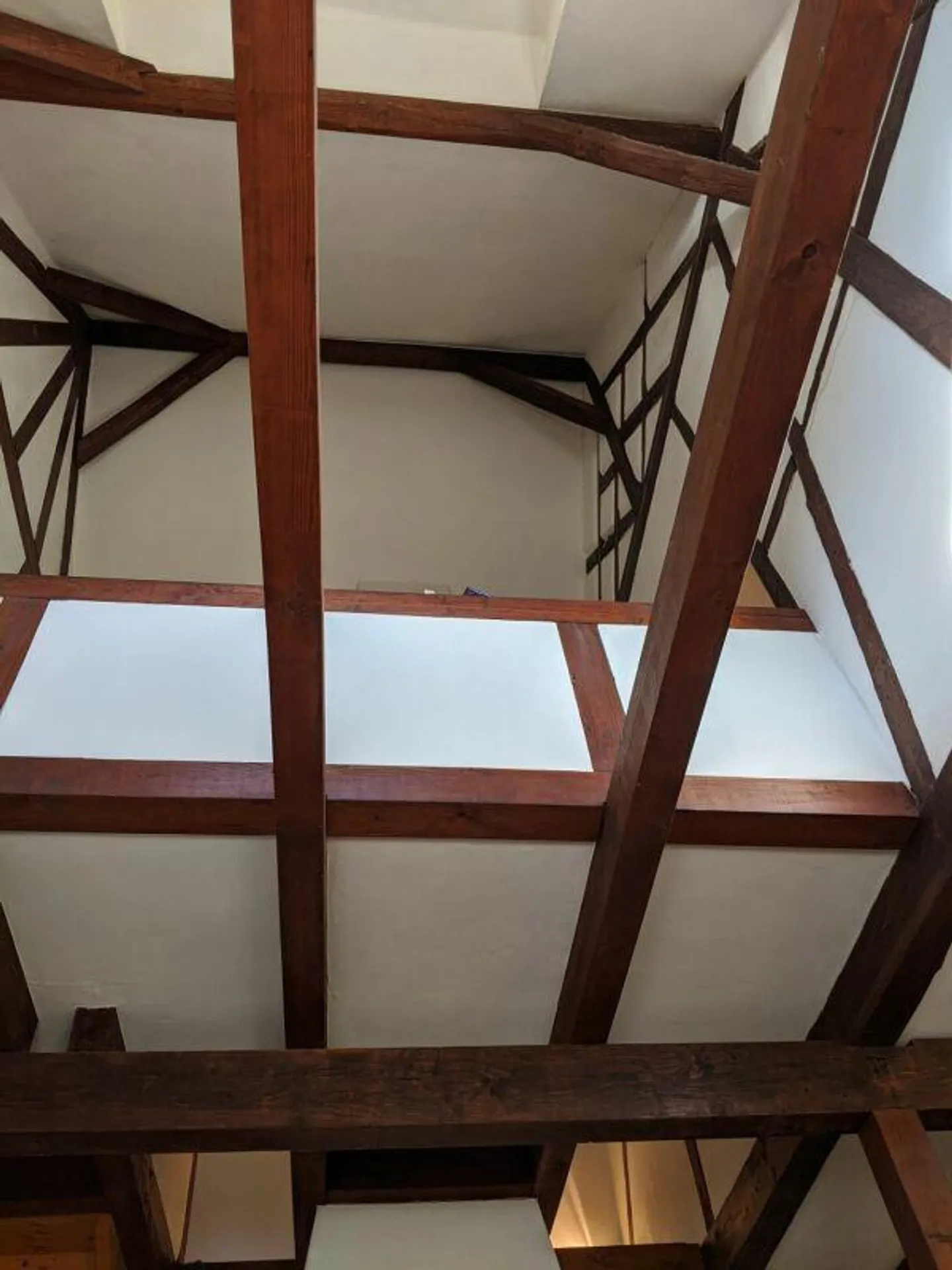 Dernière chance - Établissement équestre avec projet de construction - Photo 15 sur 25