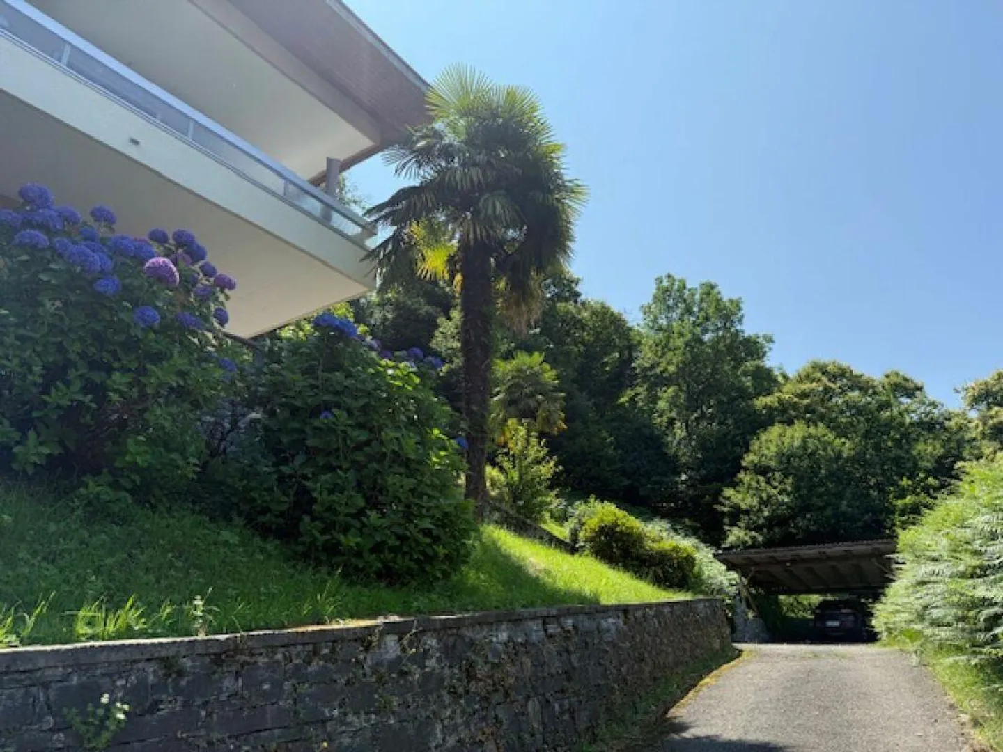 Grande proprietà con molta privacy - Foto 10 di 15