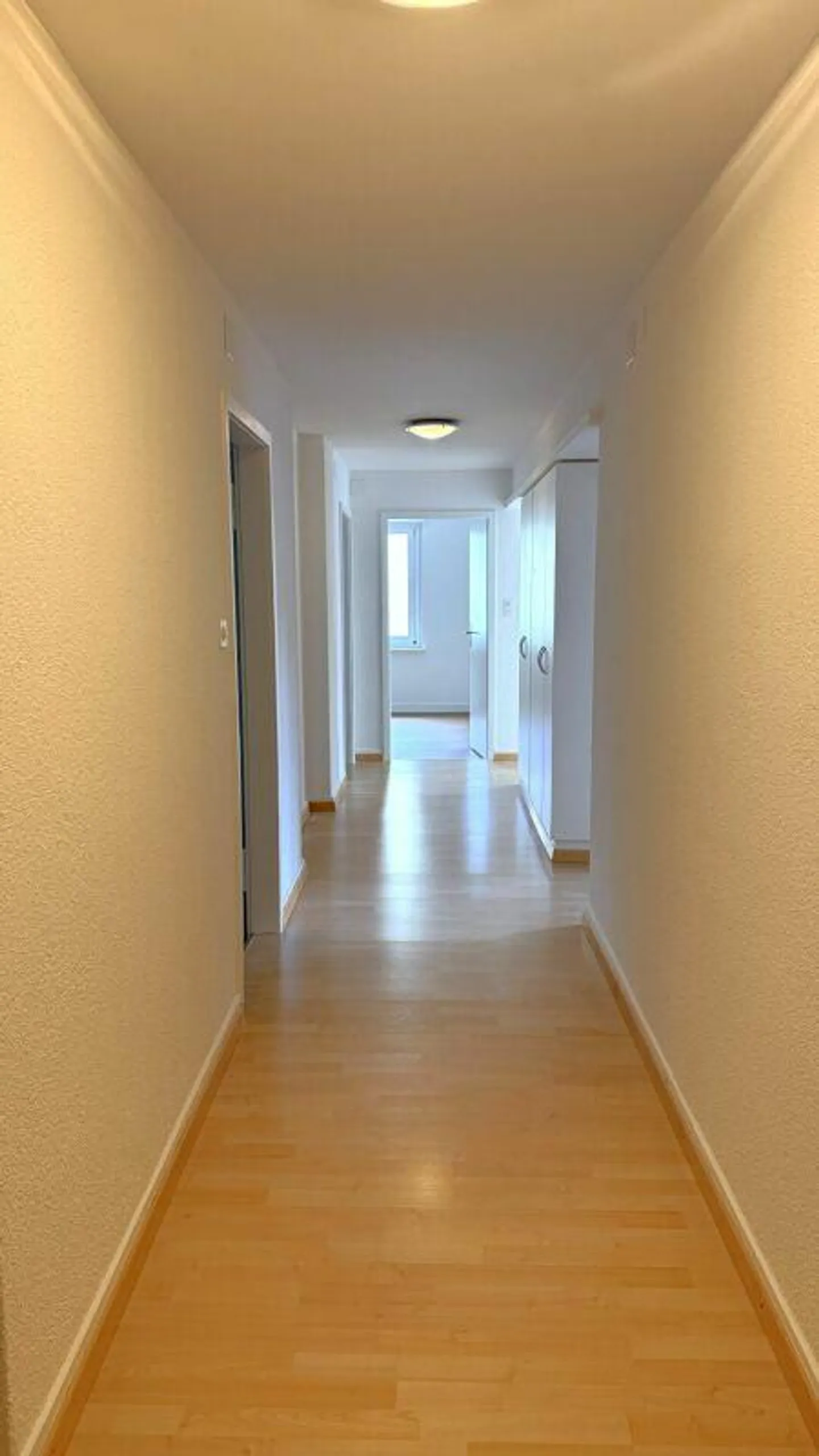 Beautiful 4.5 Room Apartment - Photo 4 of 6