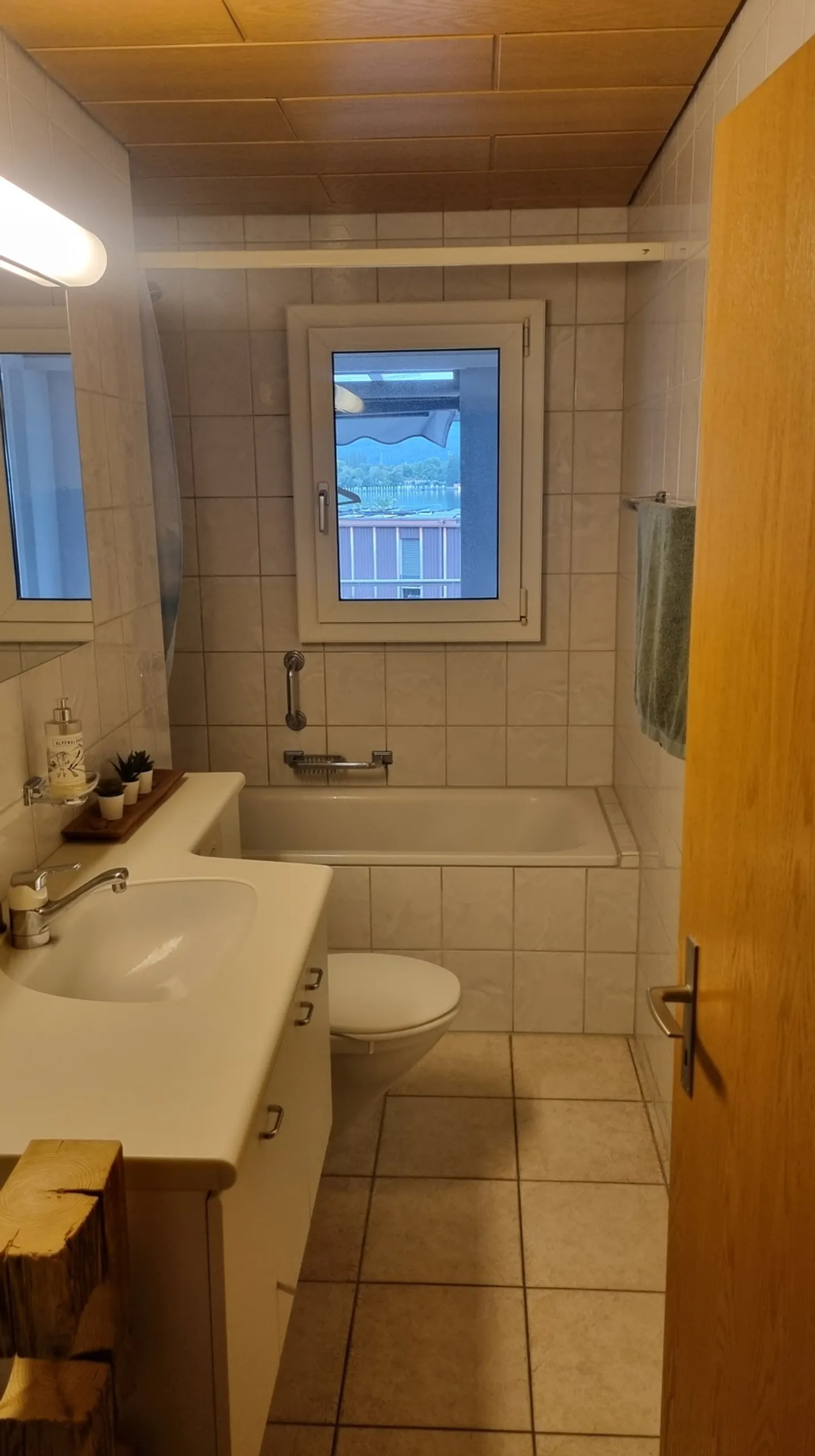 2½ ZI-WOHNUNG IN HÜNIBACH (BE), MÖBLIERT, TEMPORÄR - Foto 4 von 5