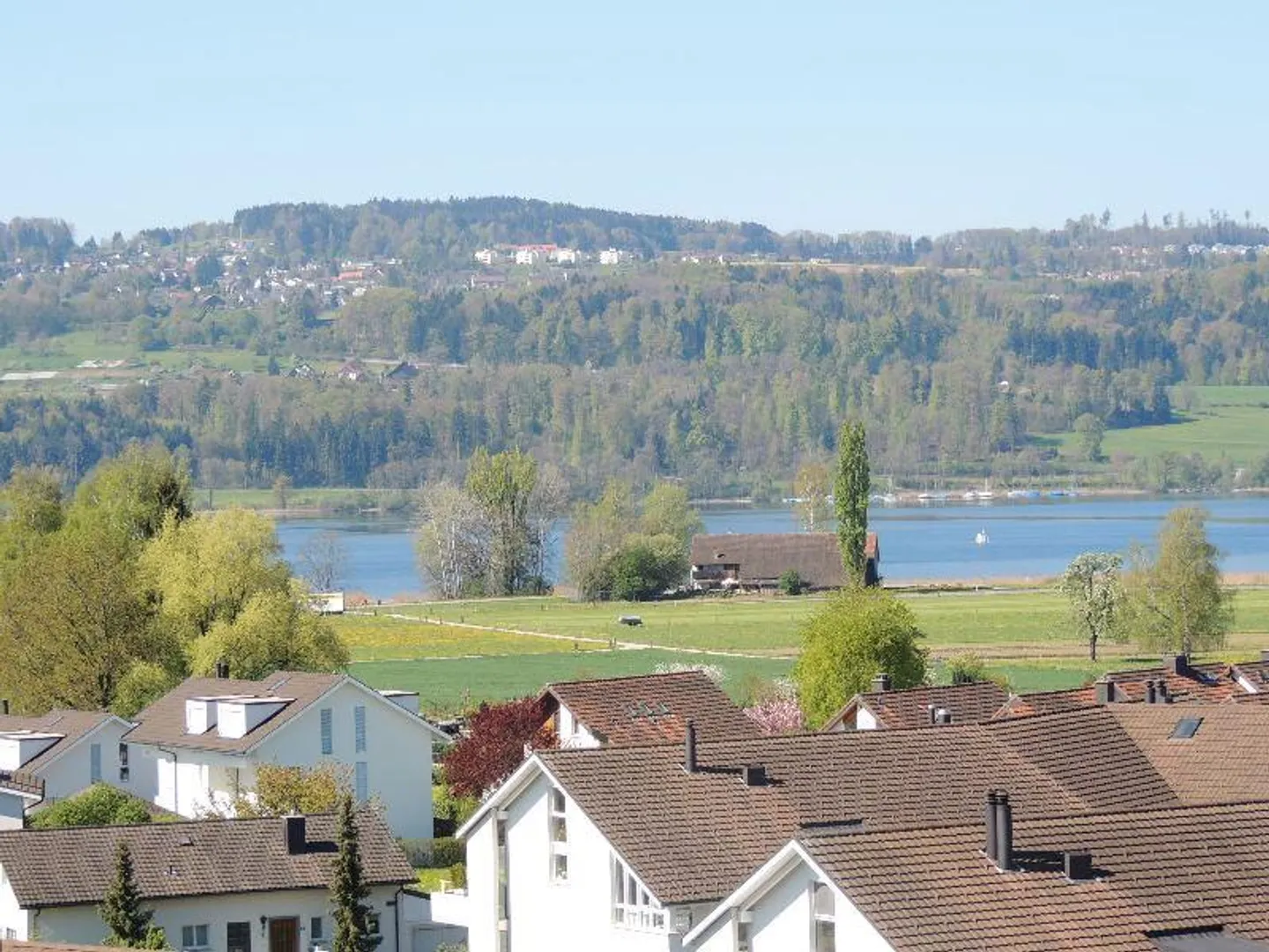 Modernes Apartment bei Greifensee - Foto 6 von 7