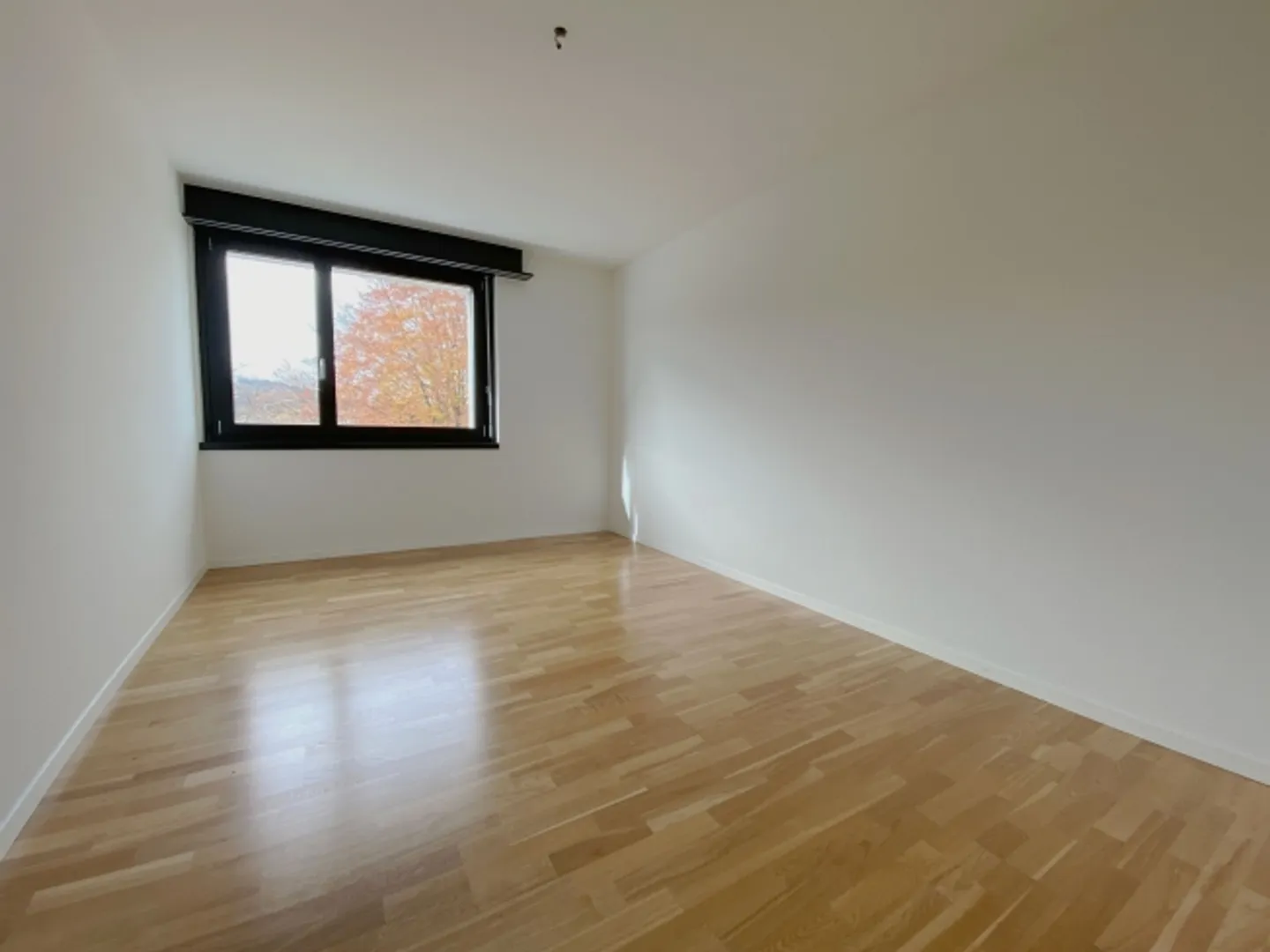 Attractive apartment with a view of greenery - Photo 9 of 11