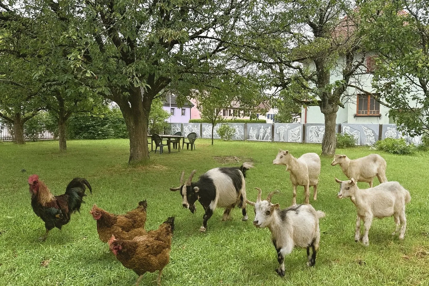 Villa in vendita - Foto 2 di 13