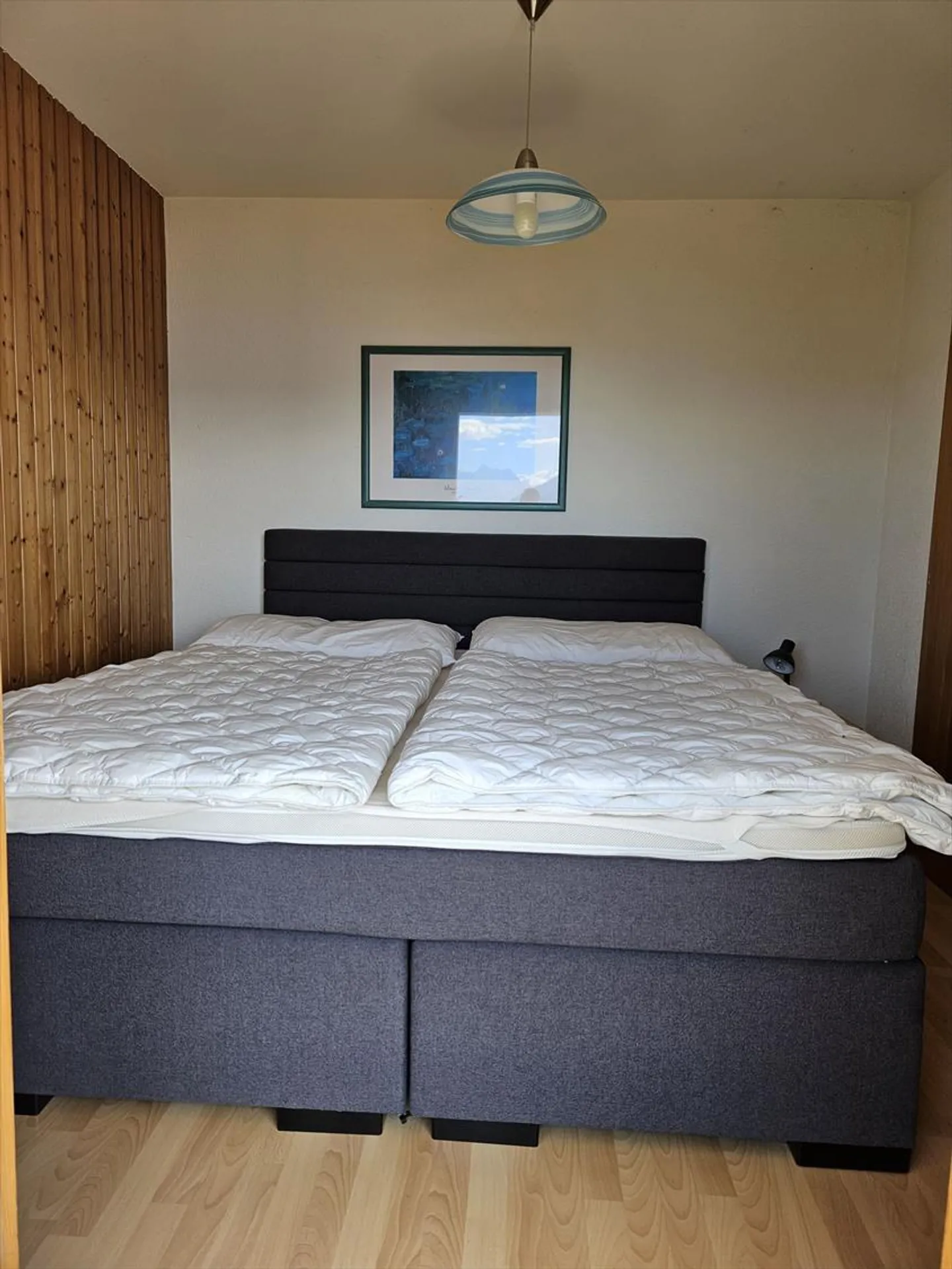 Ferienvermietung: Chalet mit Blick auf die Alpen - Foto 10 von 13