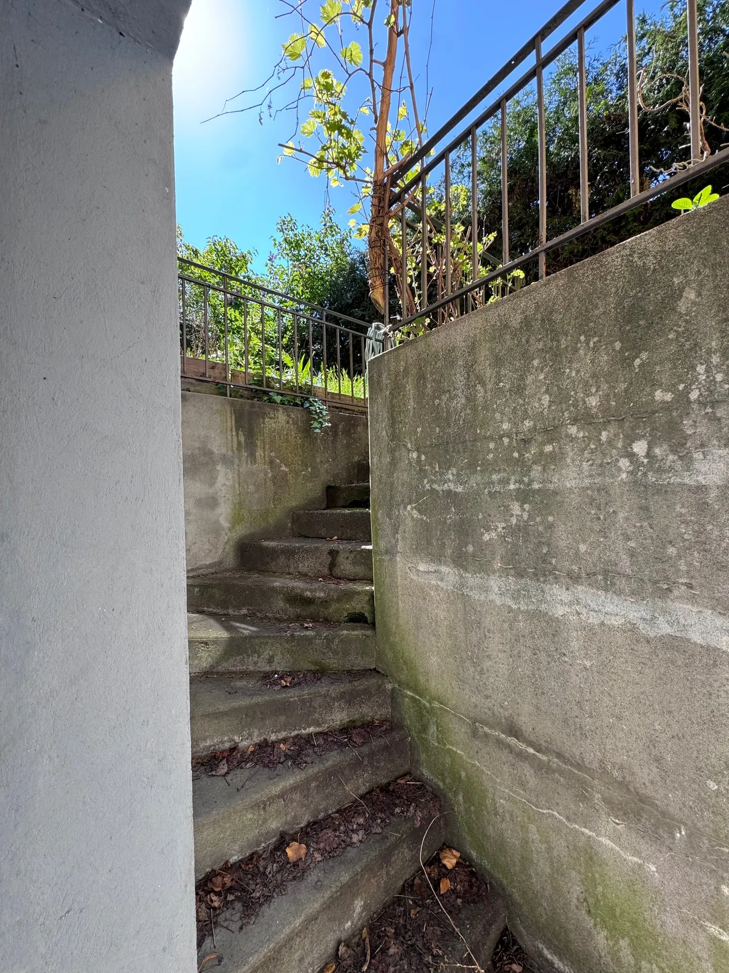 Atelier - Foto 4 di 7