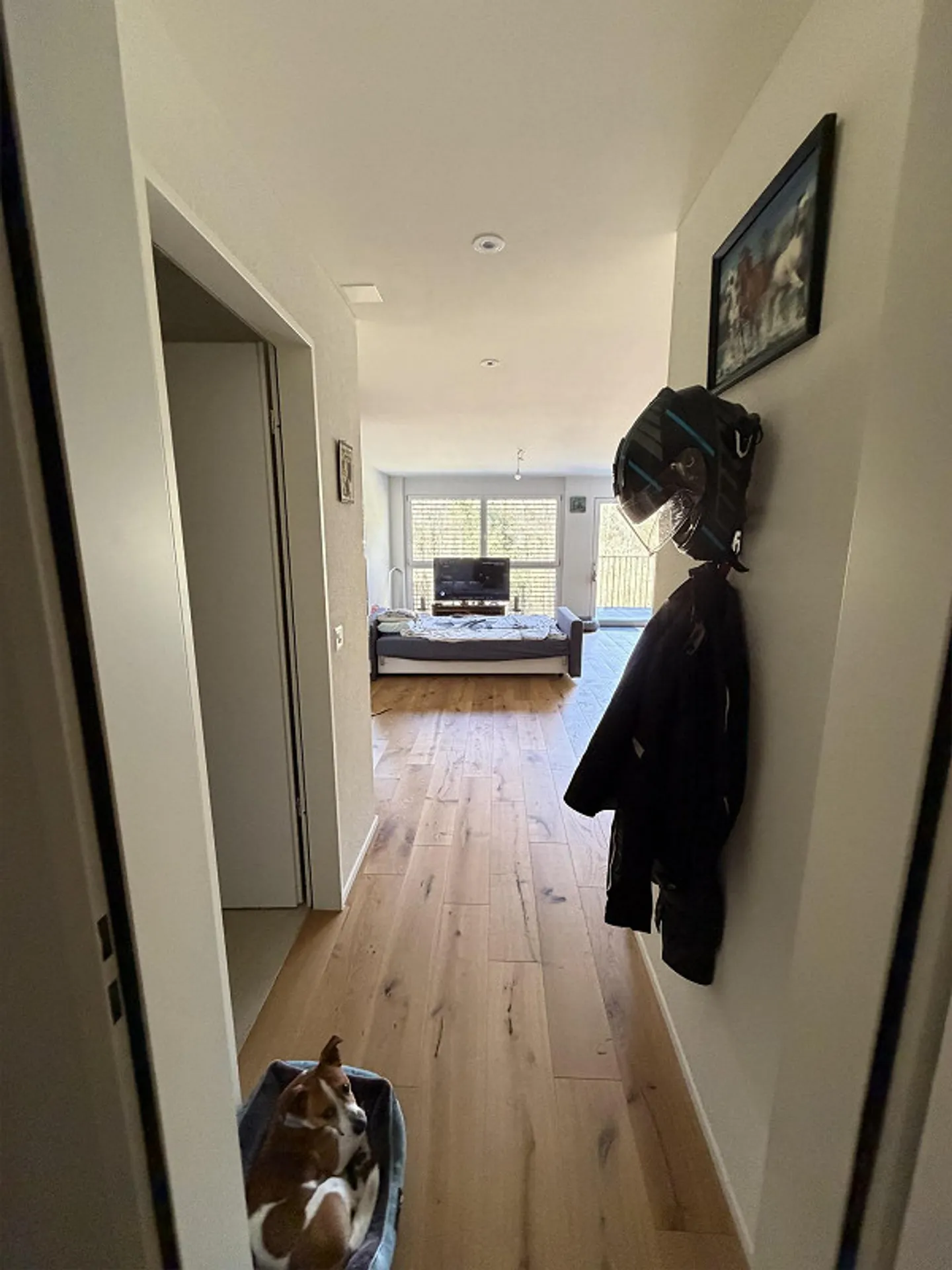 Apartment 1.5 - Photo 5 of 7