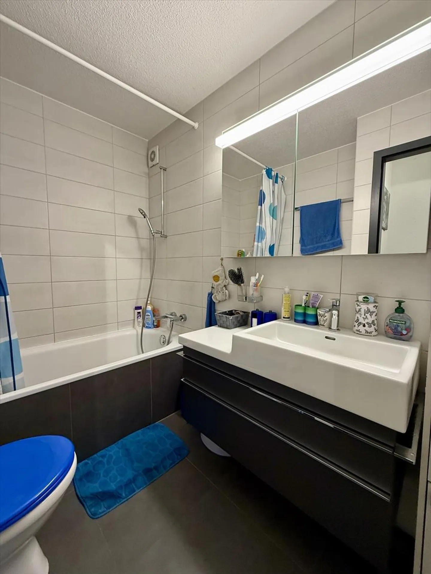 Möbliertes 3,5-Zimmer-Apartment - Foto 5 von 8
