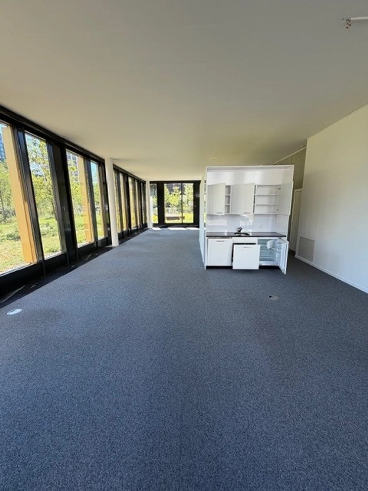 Commercial Space in Leutschentower - Photo 3 of 4
