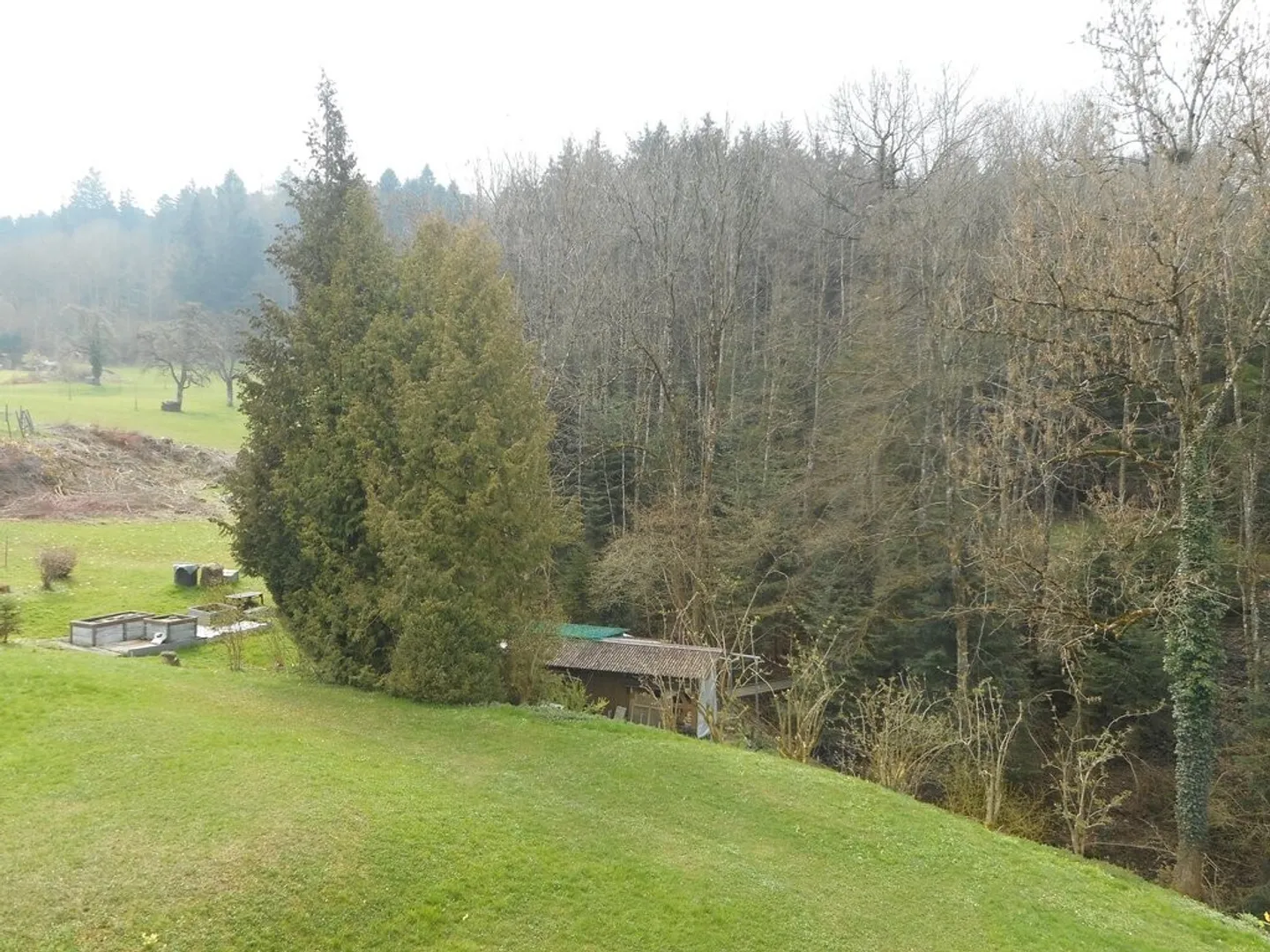 Quiet Living in Wittenbach - Photo 1 of 9