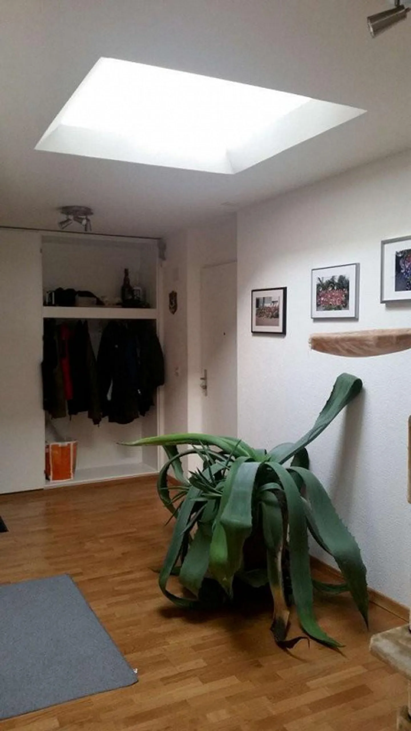 Attico unico con grande terrazza - Foto 5 di 12