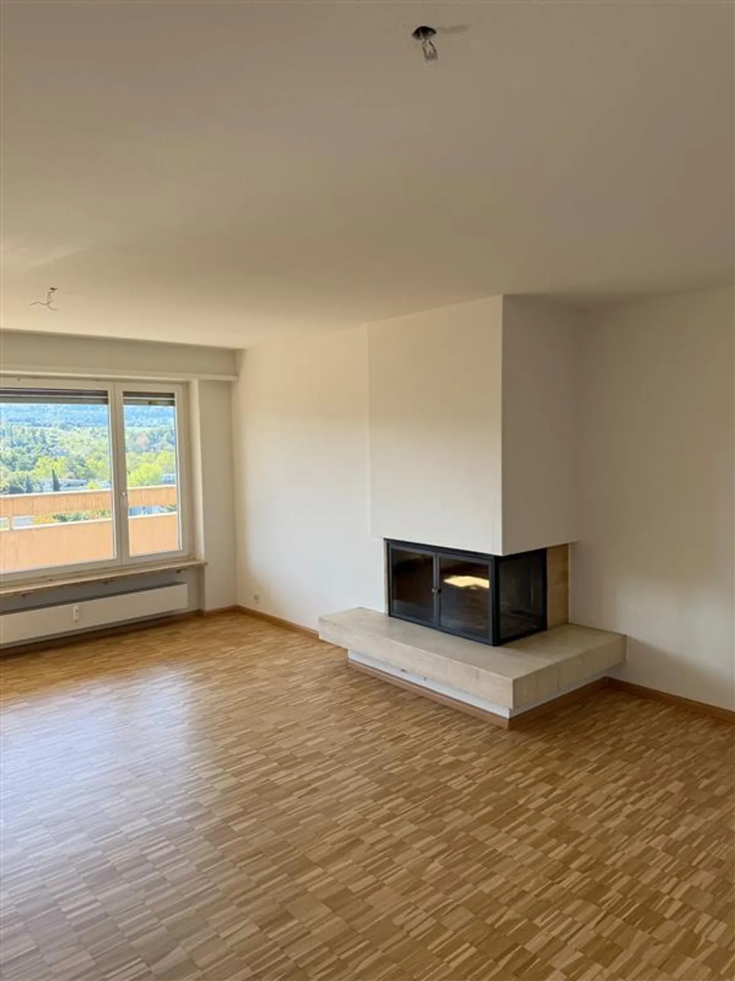 Spacious 3-room apartment with a view over Reinach - Photo 3 of 8