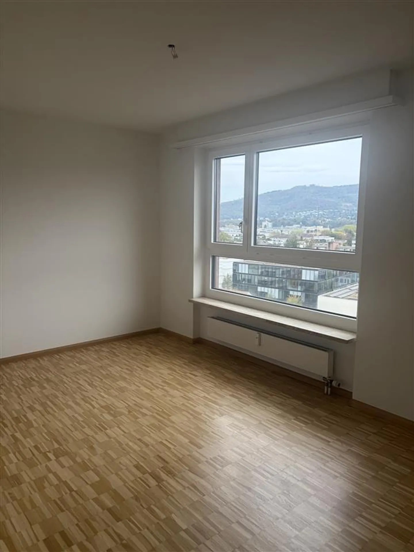Spacious 3-room apartment with a view over Reinach - Photo 4 of 8