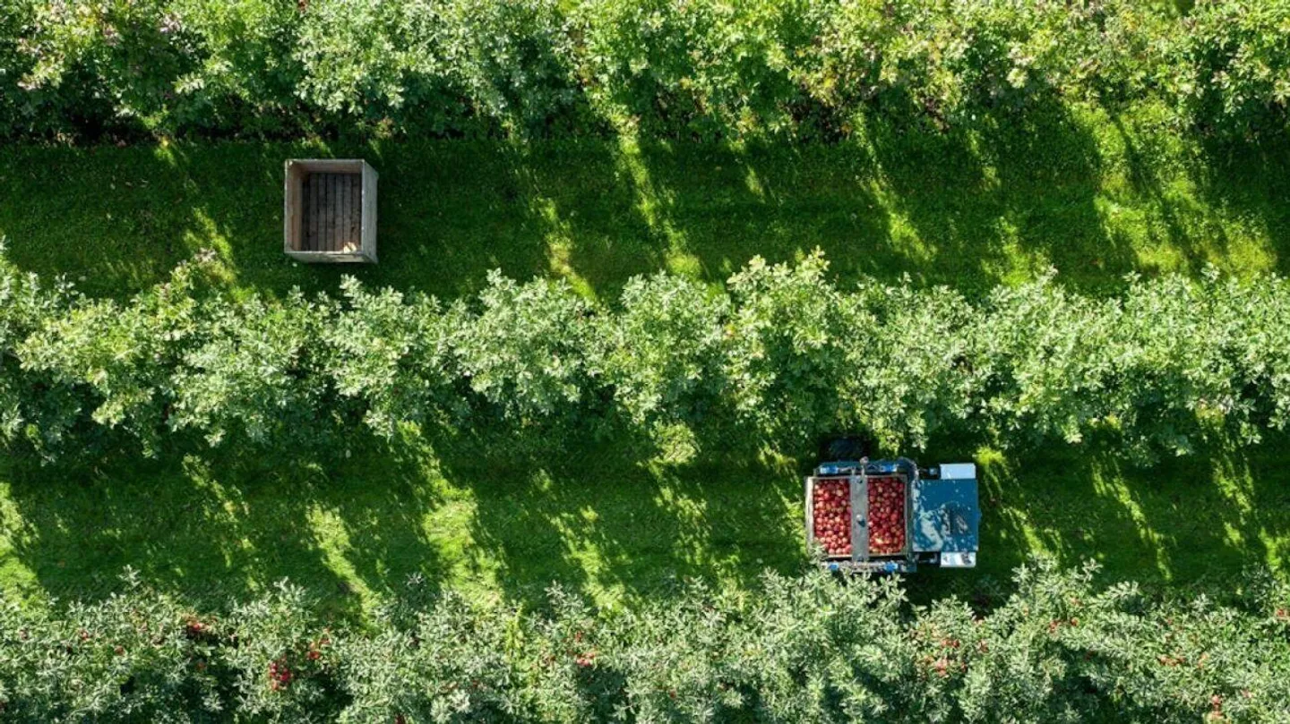 Culture de fruits de montagne dans le Bern-Mittelland avec appartements - Photo 1 sur 8