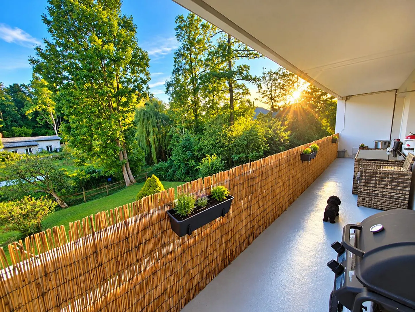 renovierte2.5 Zimmerwohnung mit grossem  Südbalkon - Photo 2 of 9