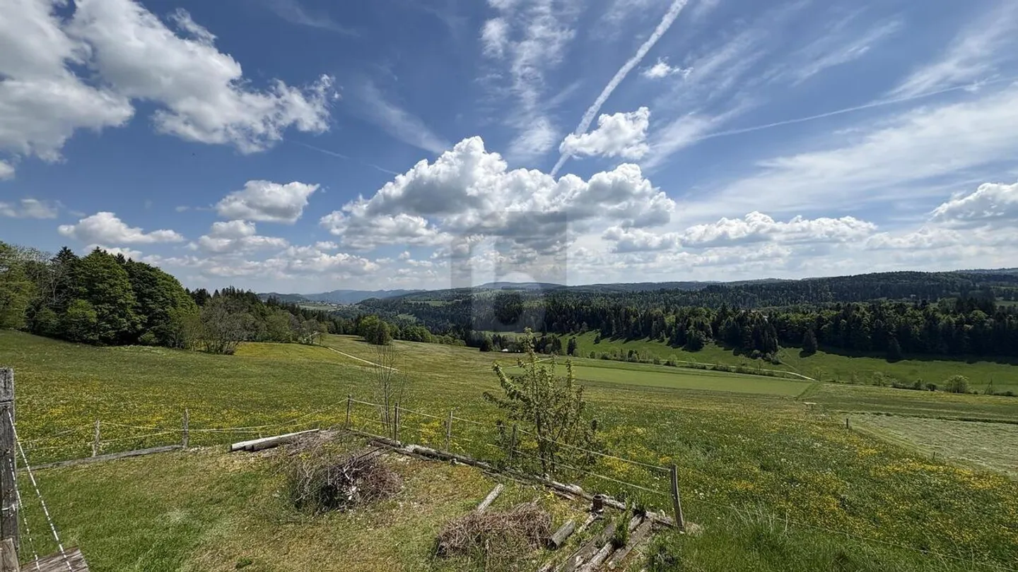 UNE VUE MAGNIFIQUE SUR LA NATURE - Photo 1 sur 6