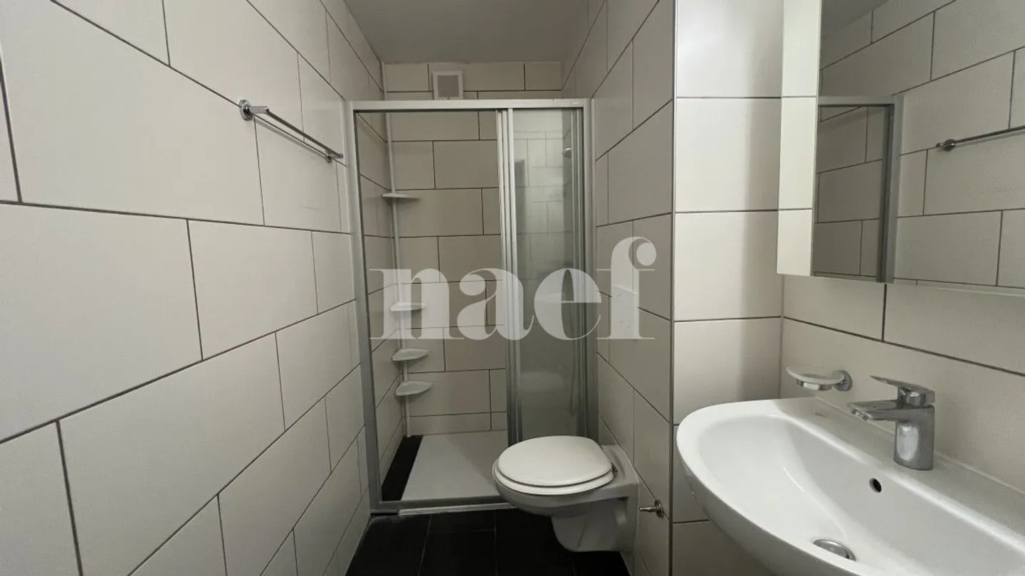 Appartamento 5.5 stanze - Foto 4 di 5