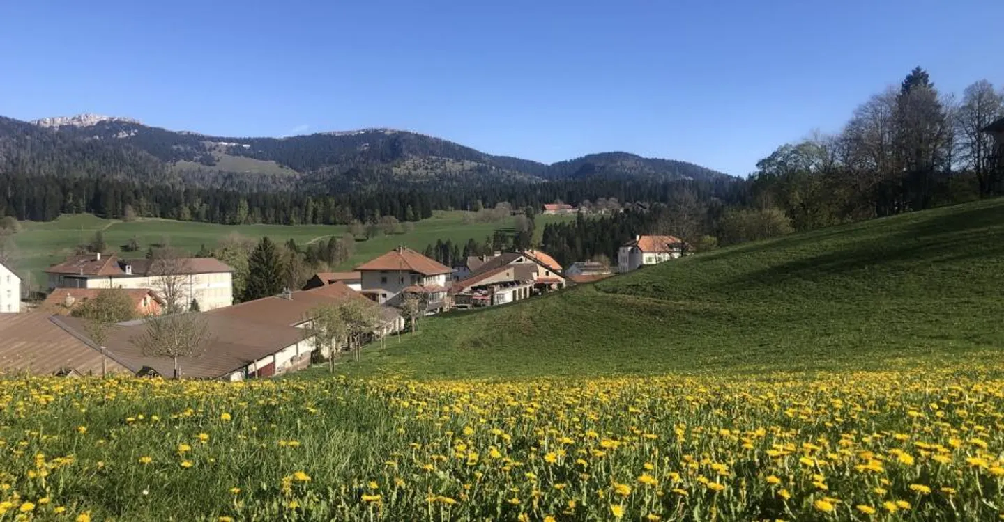 Wohngebäude zu verkaufen. Sehr gute Rendite. - Foto 1 von 9