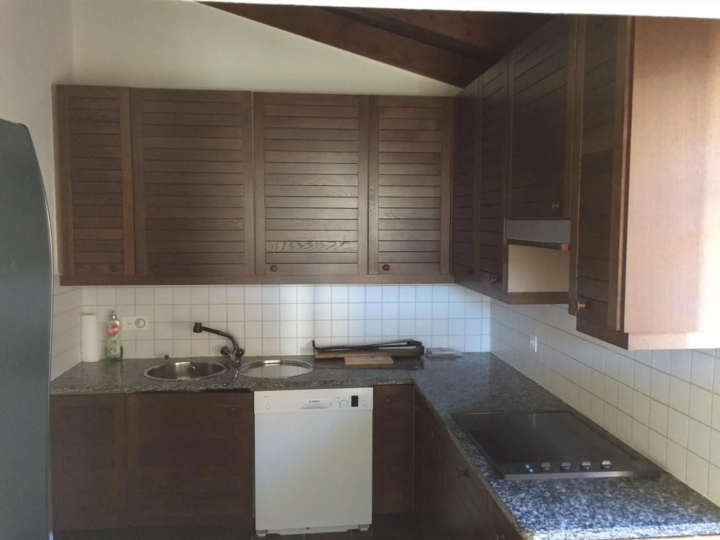 Vezio Malcantone: house for rent with duplex apartment and studio - Photo 4 of 13