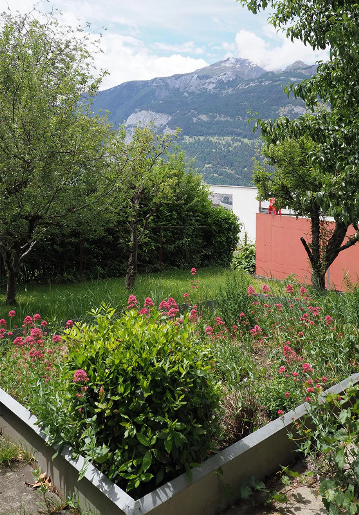 Appartement 2 pièces avec jardin - Photo 6 sur 7