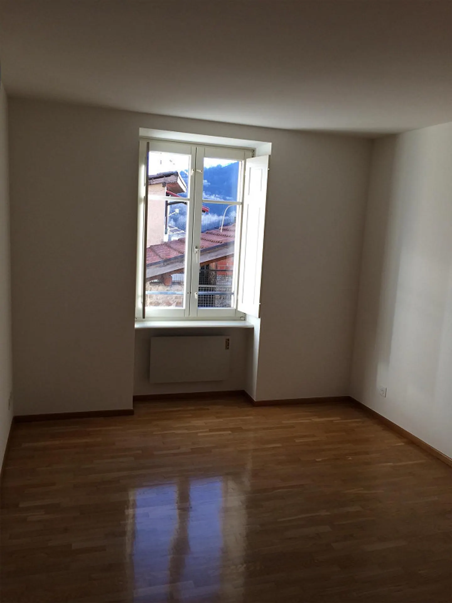 Vezio Malcantone: house for rent with duplex apartment and studio - Photo 6 of 13
