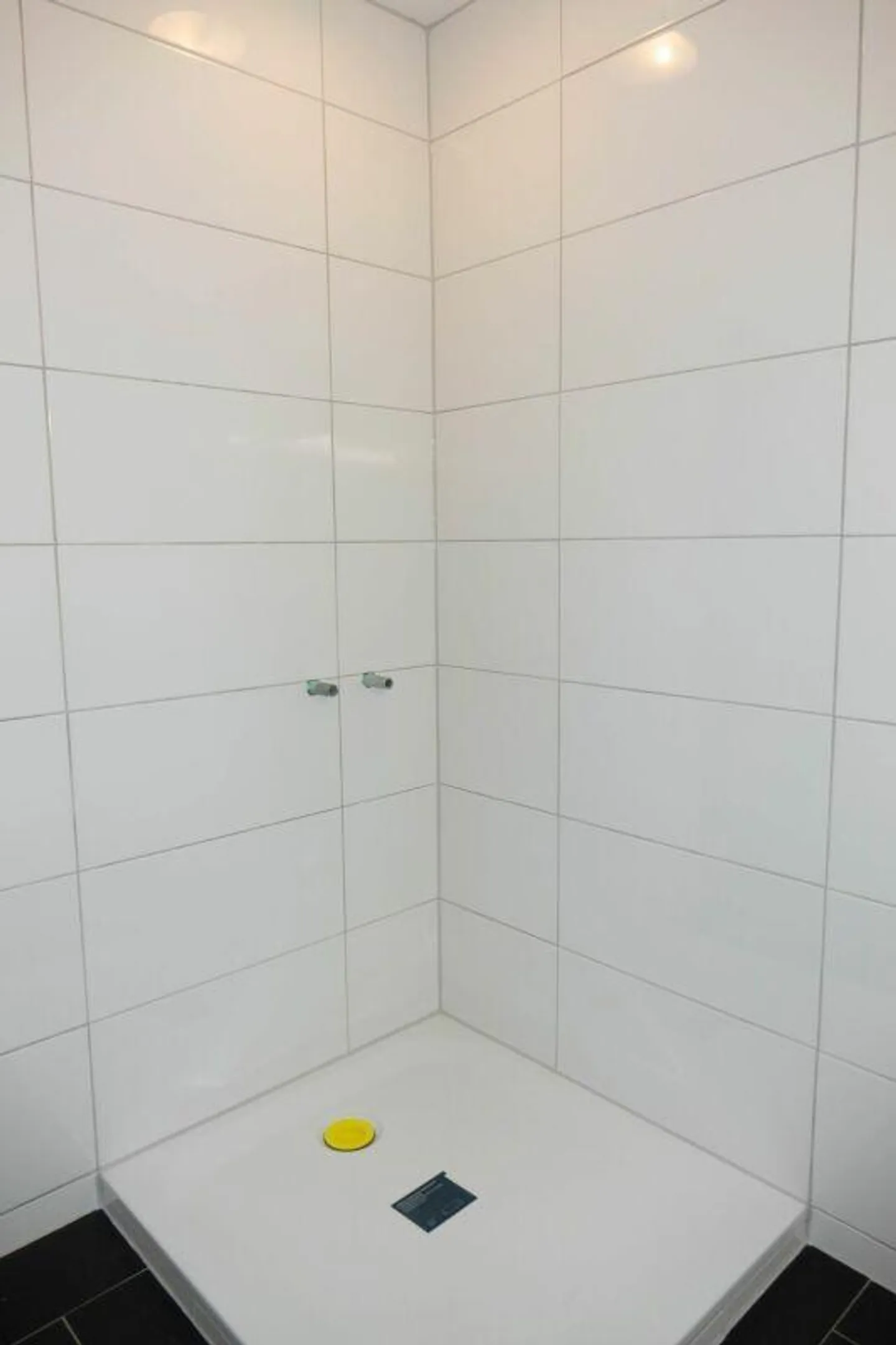 Bellissimo appartamento di 4,5 stanze in una posizione tranquilla e privilegiata a San Gallo - Foto 6 di 15