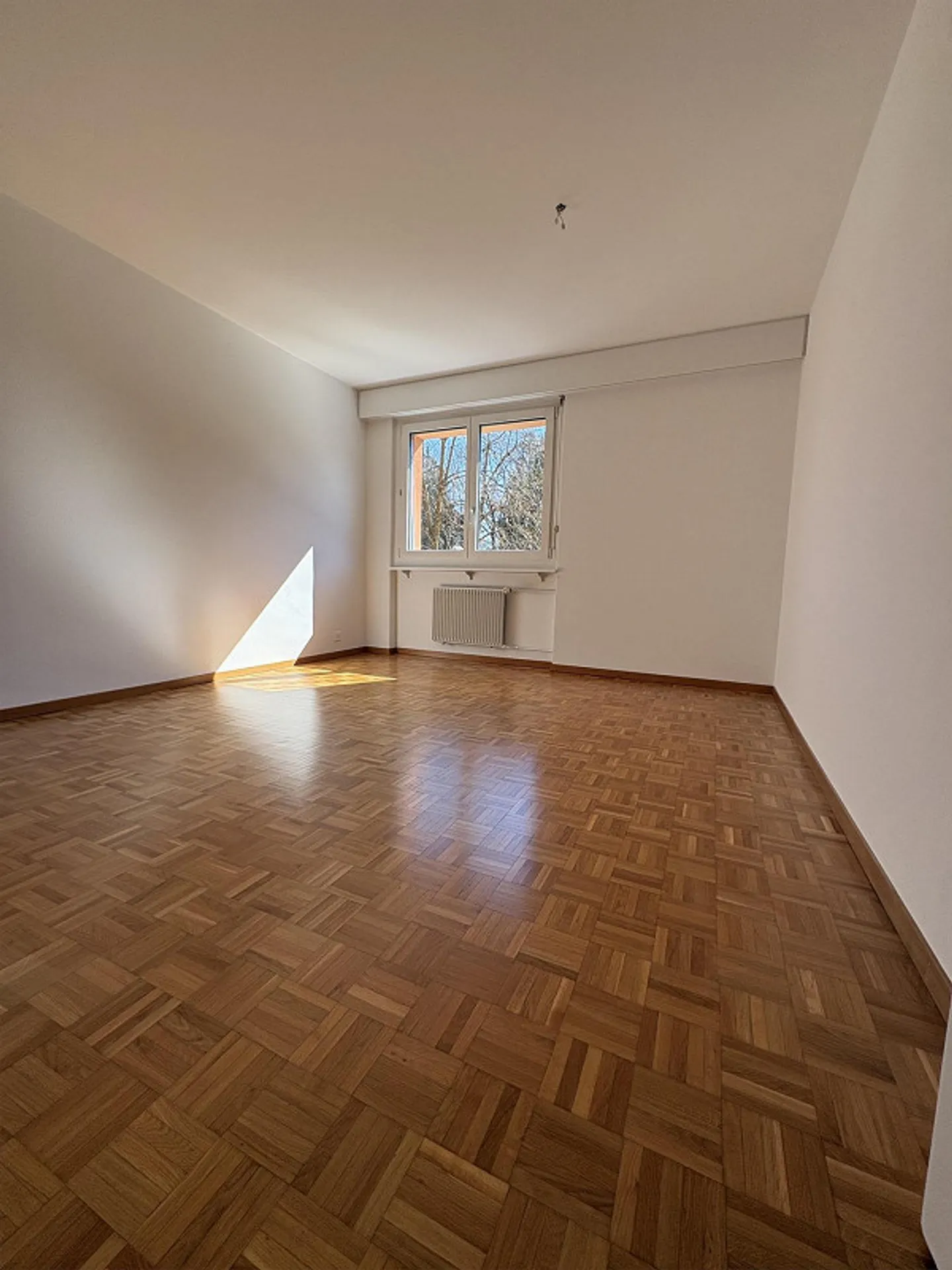 Bright 4.5 room apartment in a quiet residential area, centrally located. - Photo 4 of 12