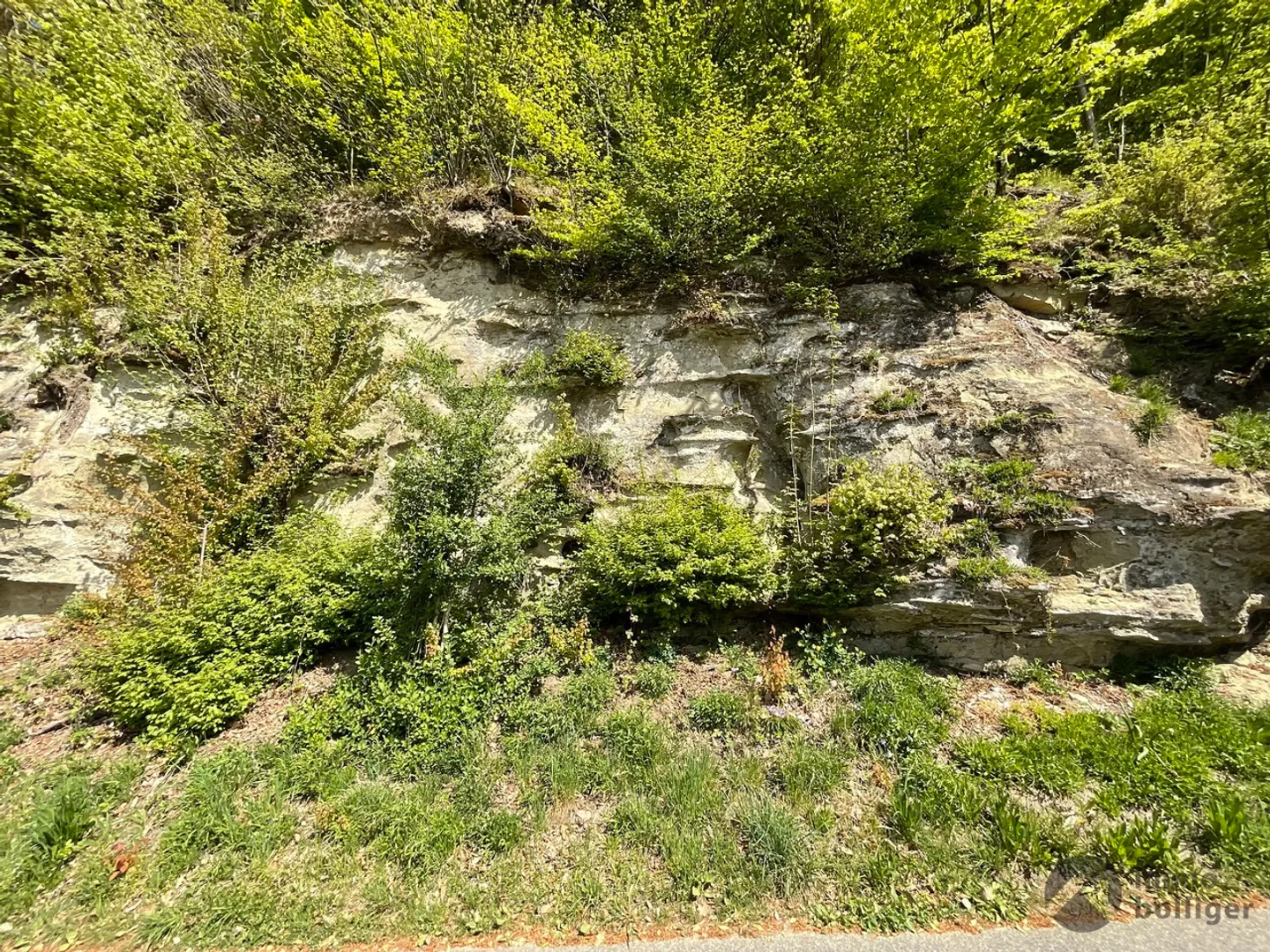 Charmantes Einfamilienhaus mit Aussicht - Foto 11 von 16